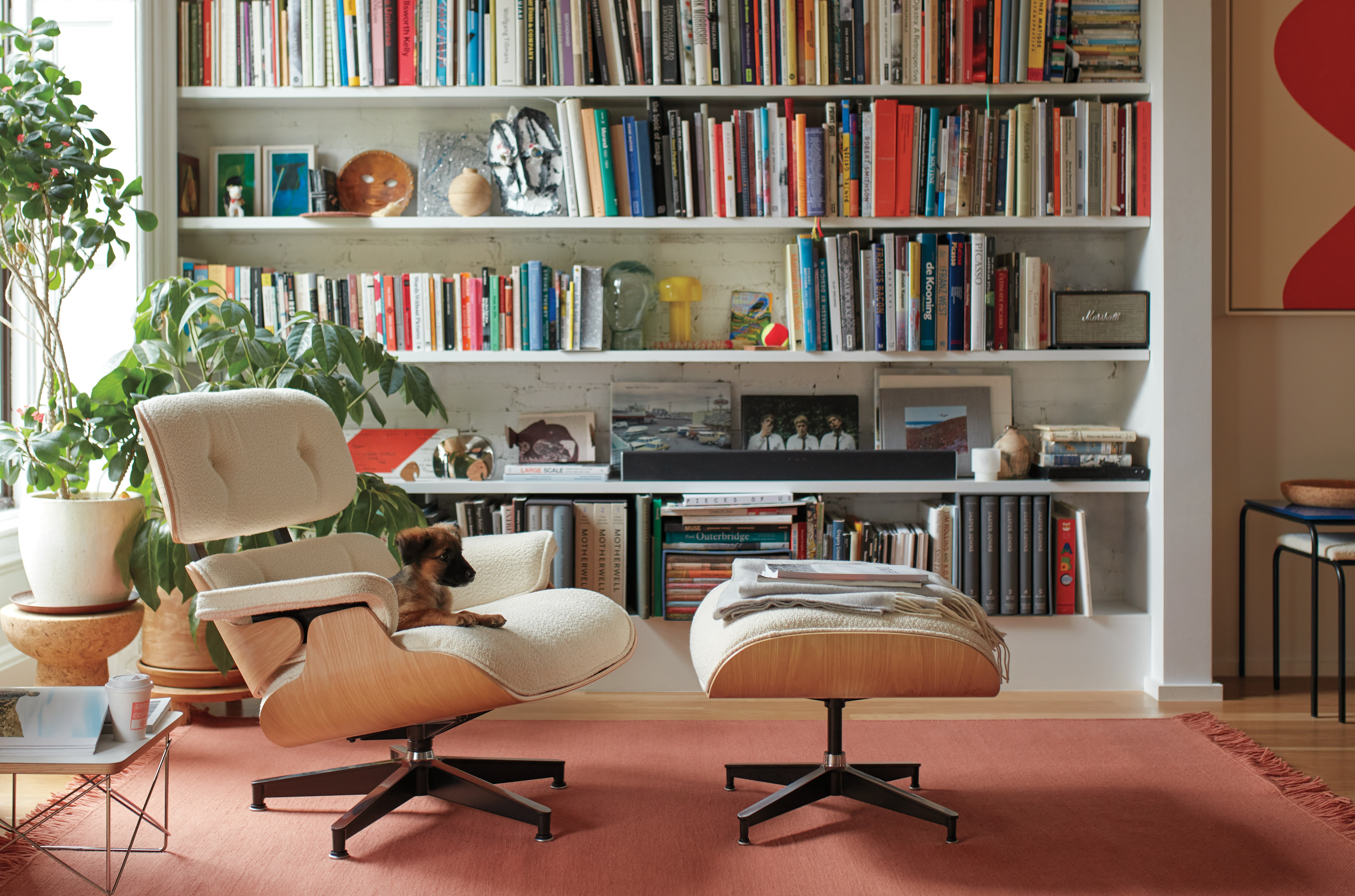 Eames Lounge Chair and Ottoman
