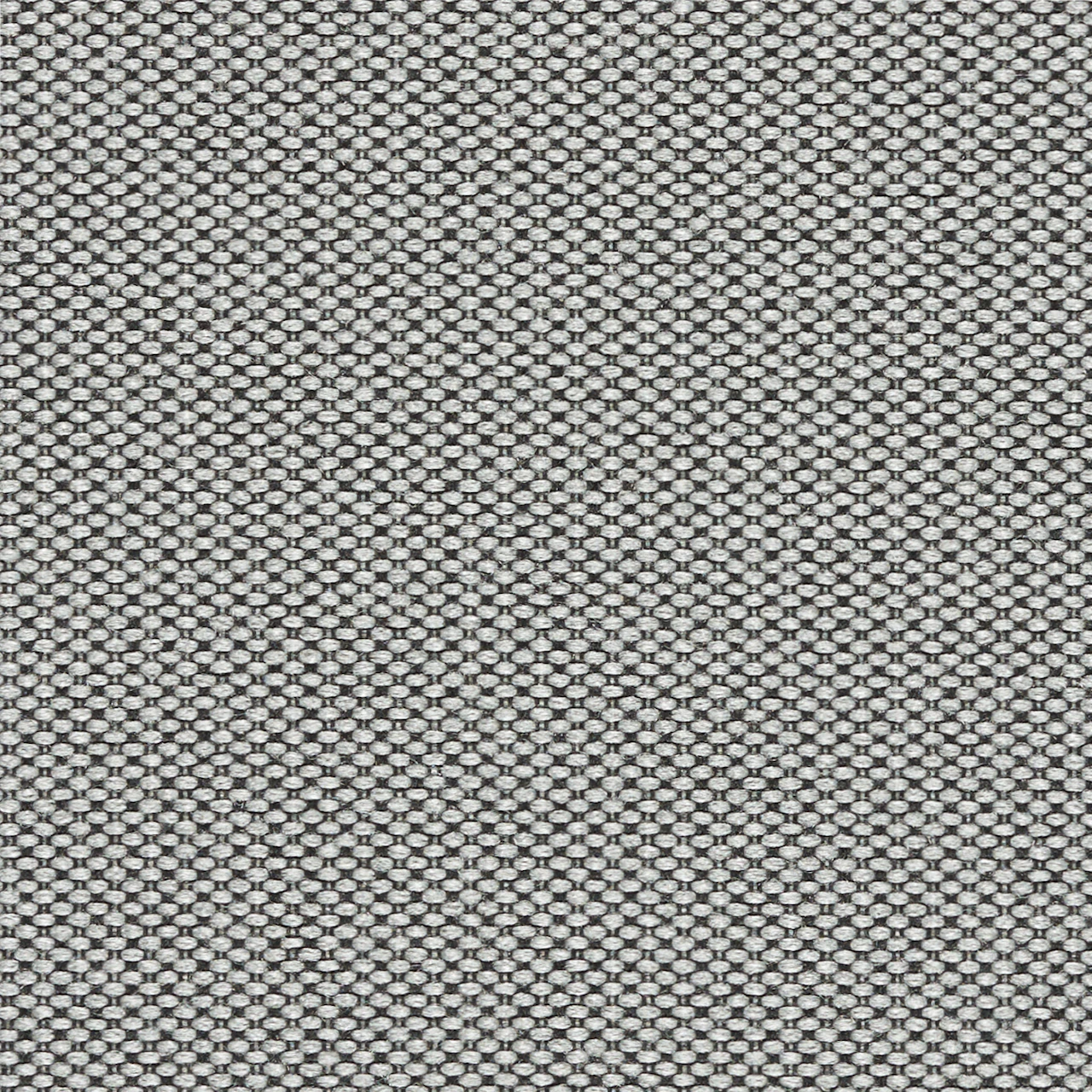 Feather Grey