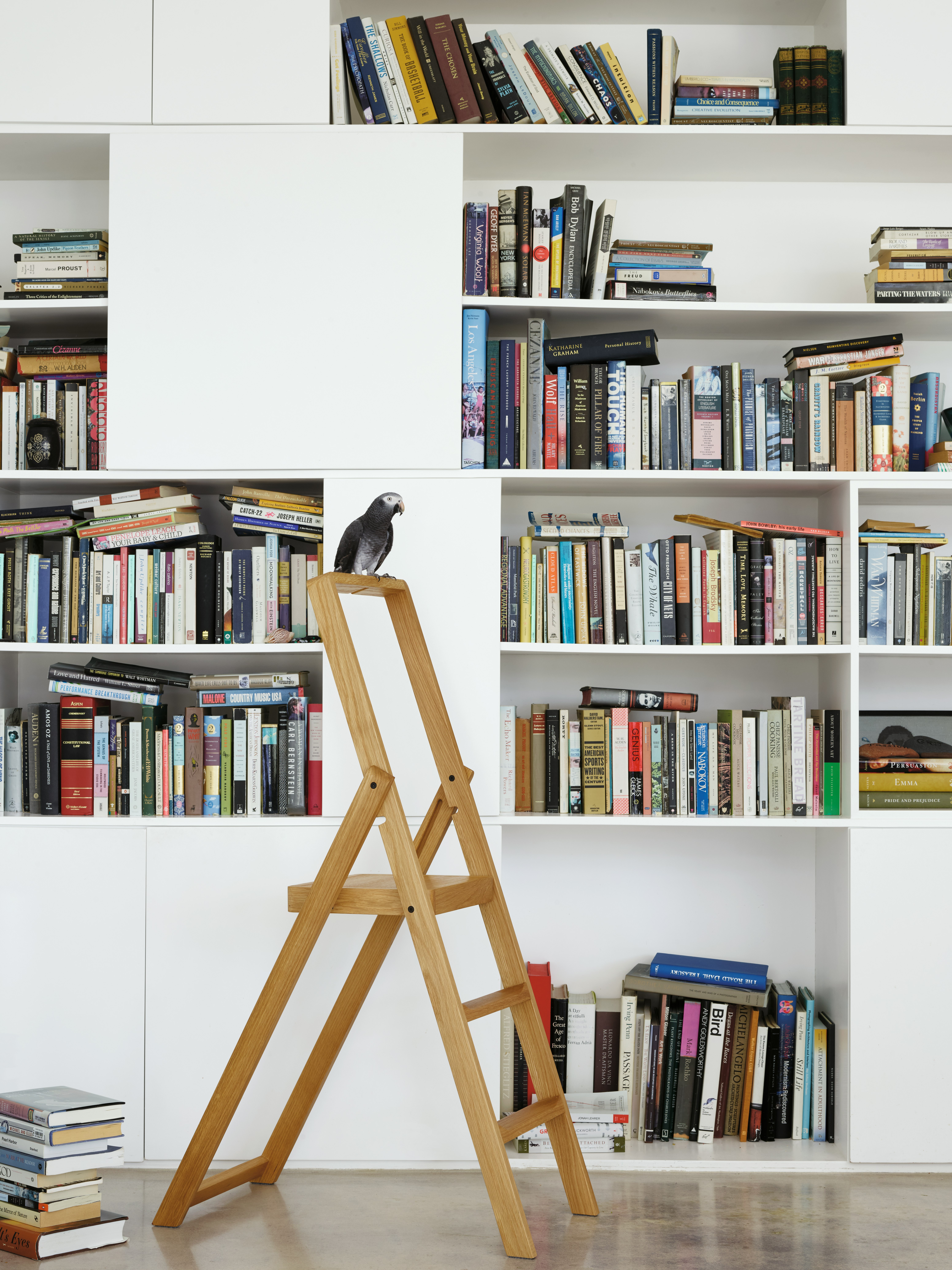 Step Ladder