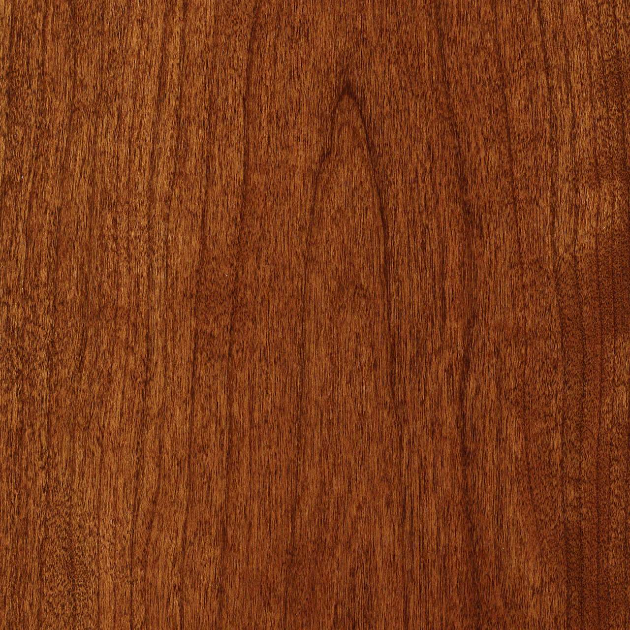 Noble Cherry