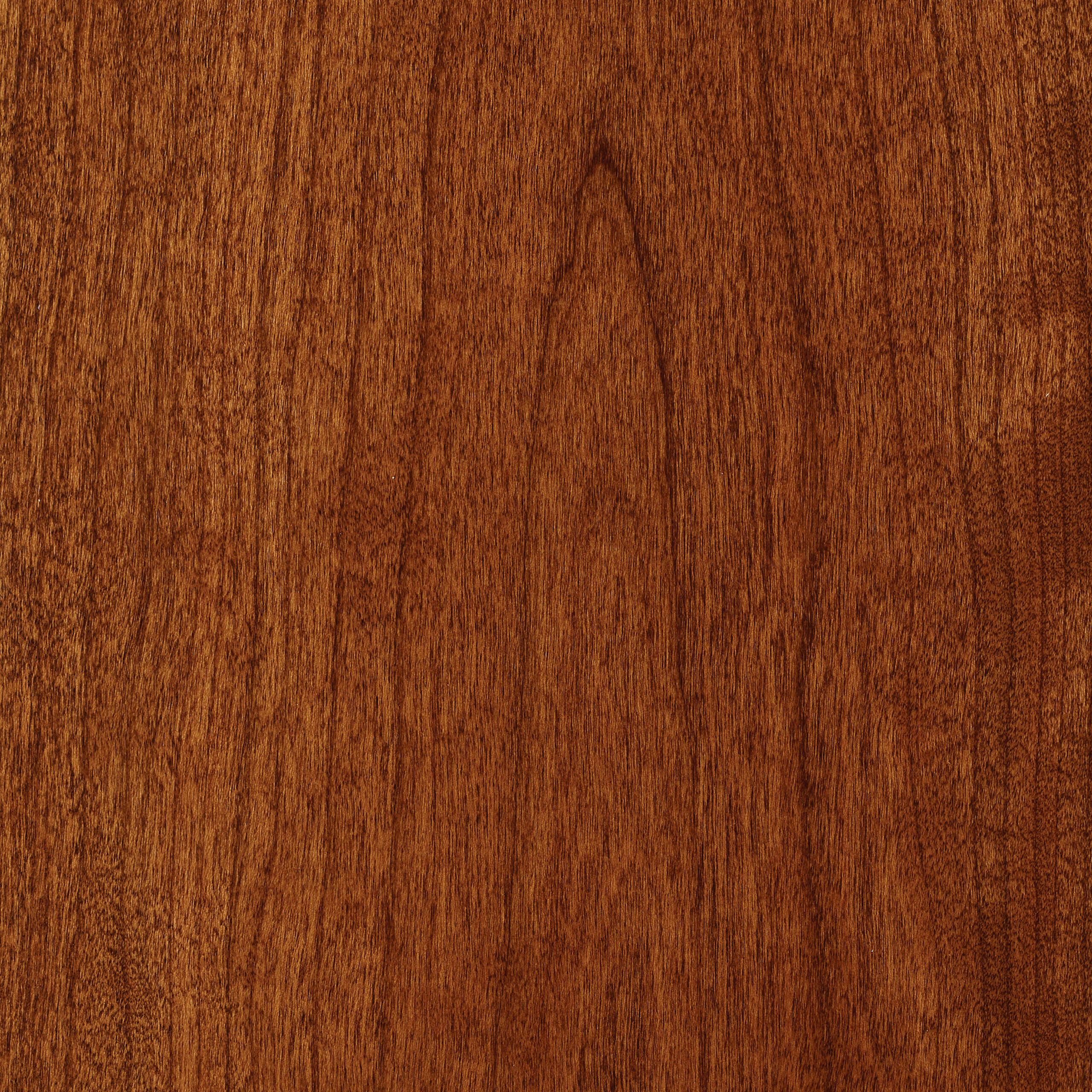 Noble Cherry