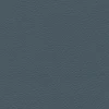 Cambridge Blue