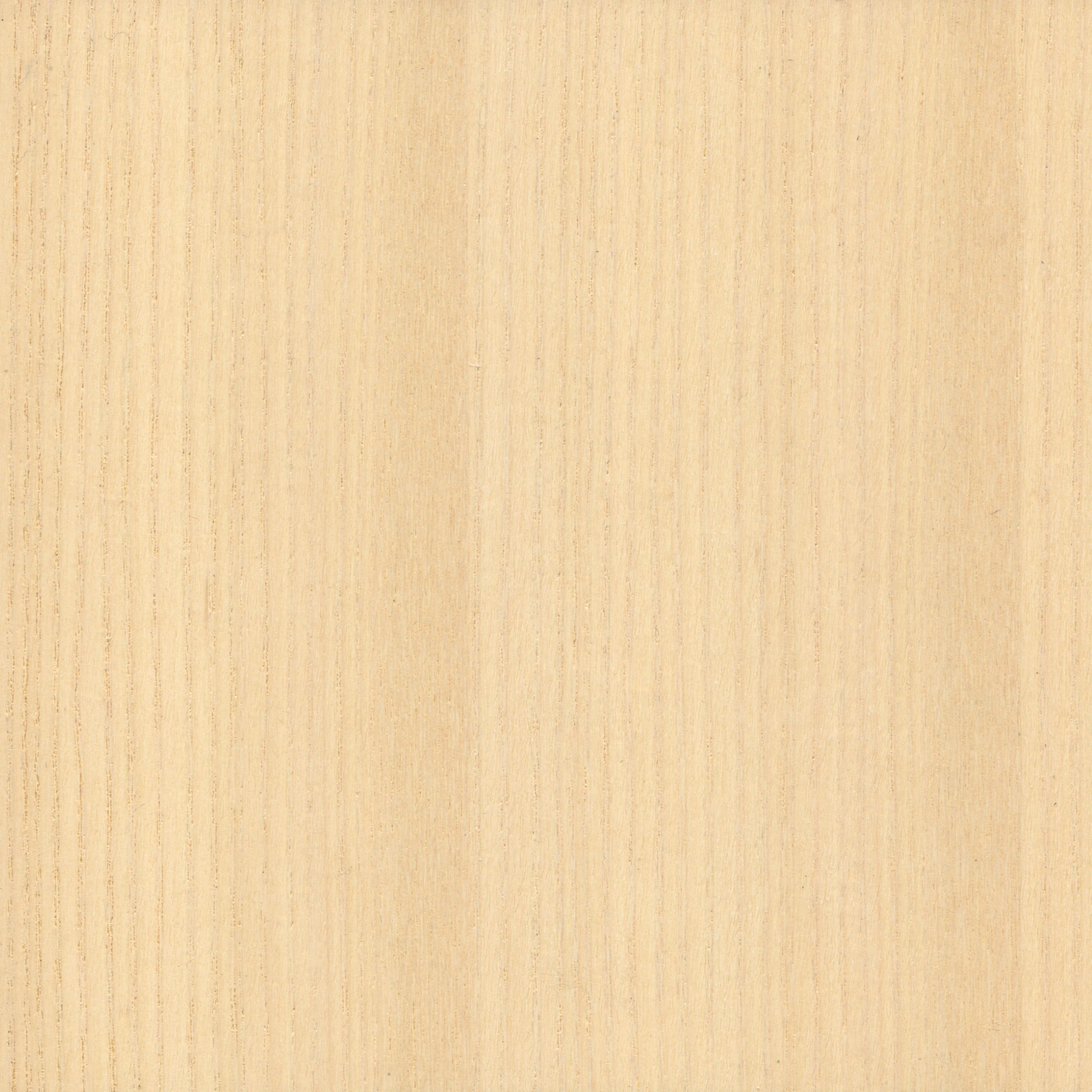 White Ash