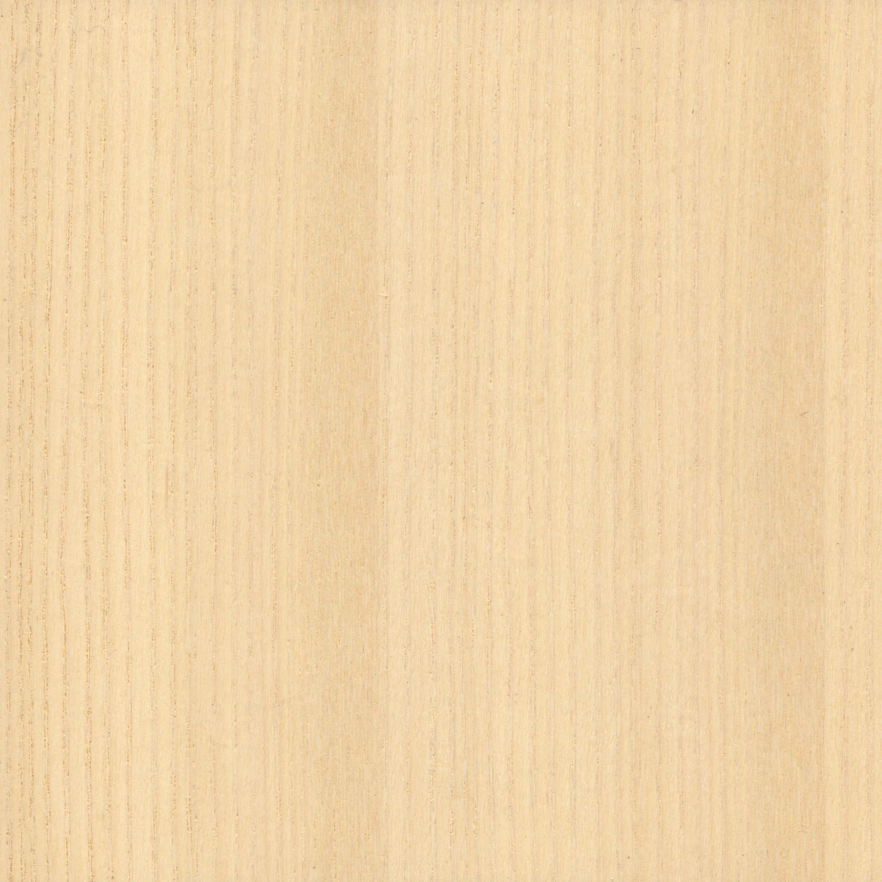 White Ash