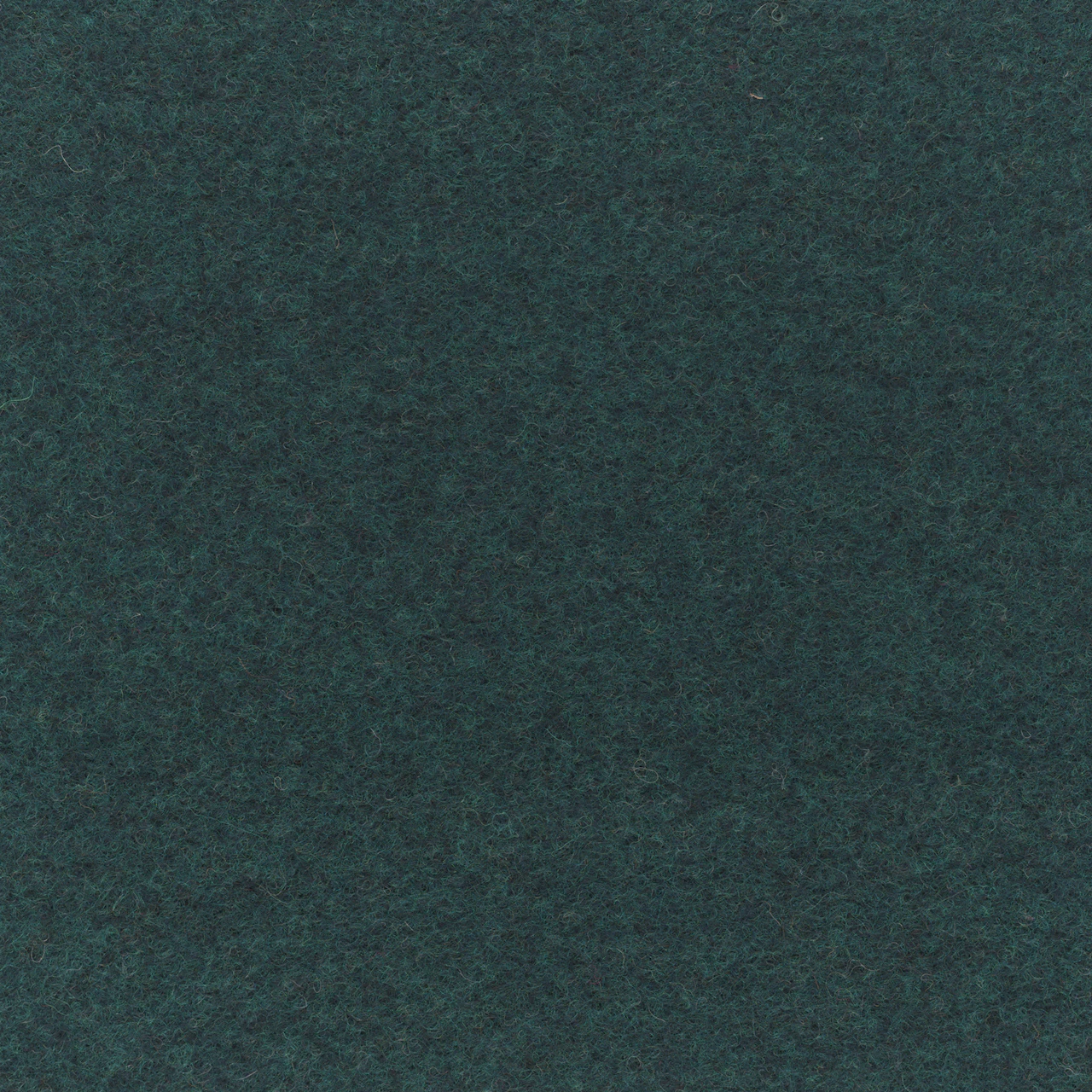 Midnight Teal