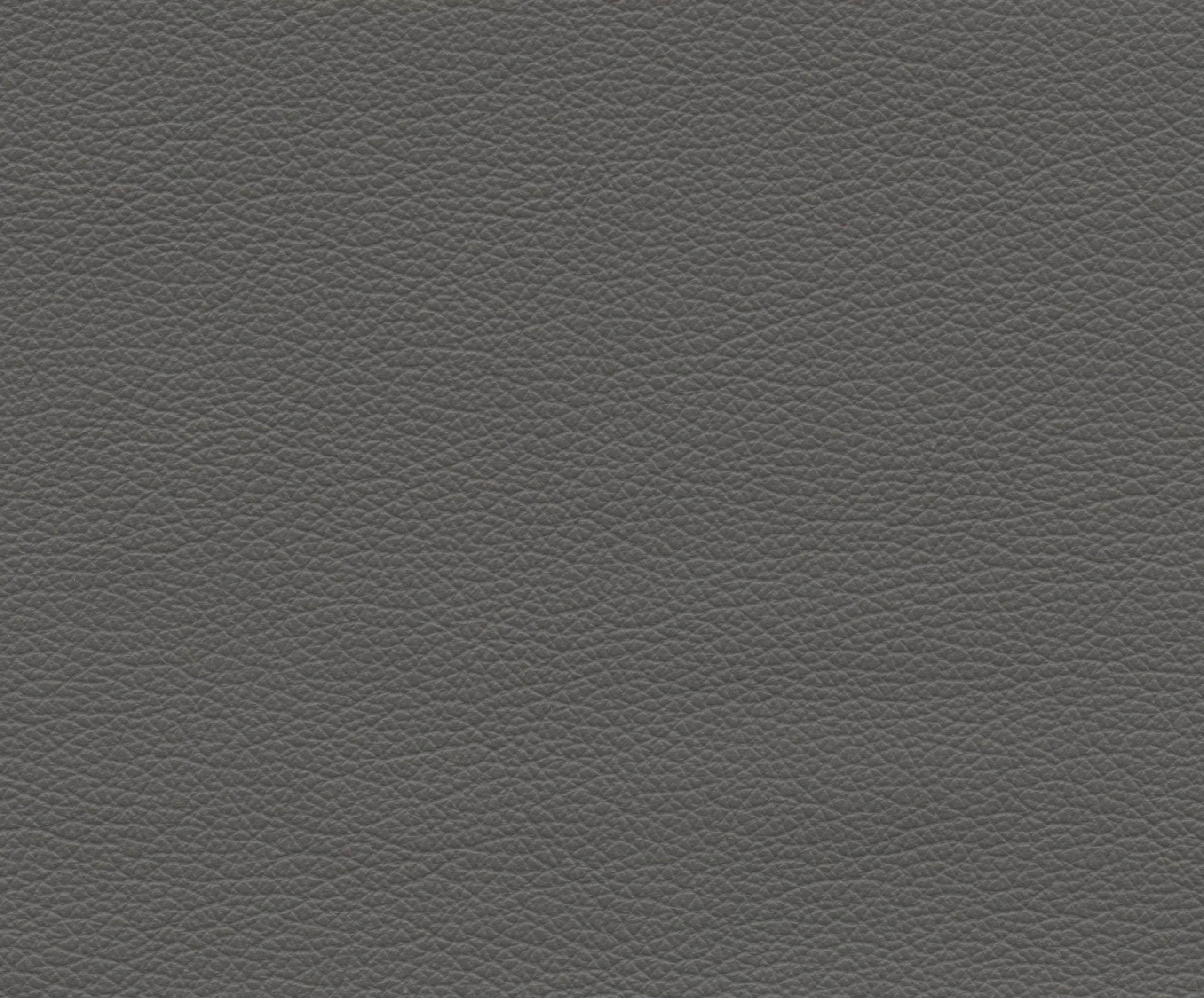 Linoleum