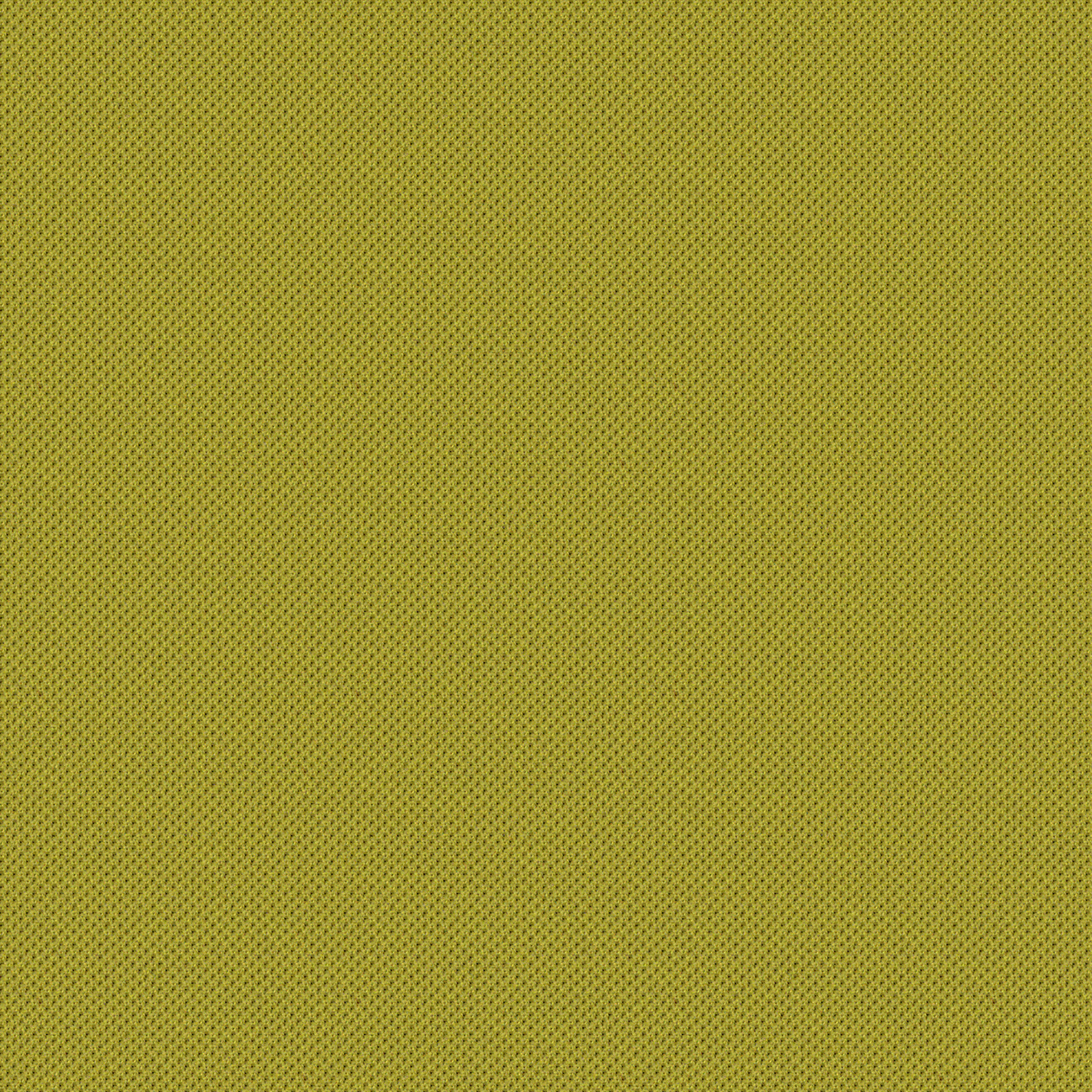 Lemongrass