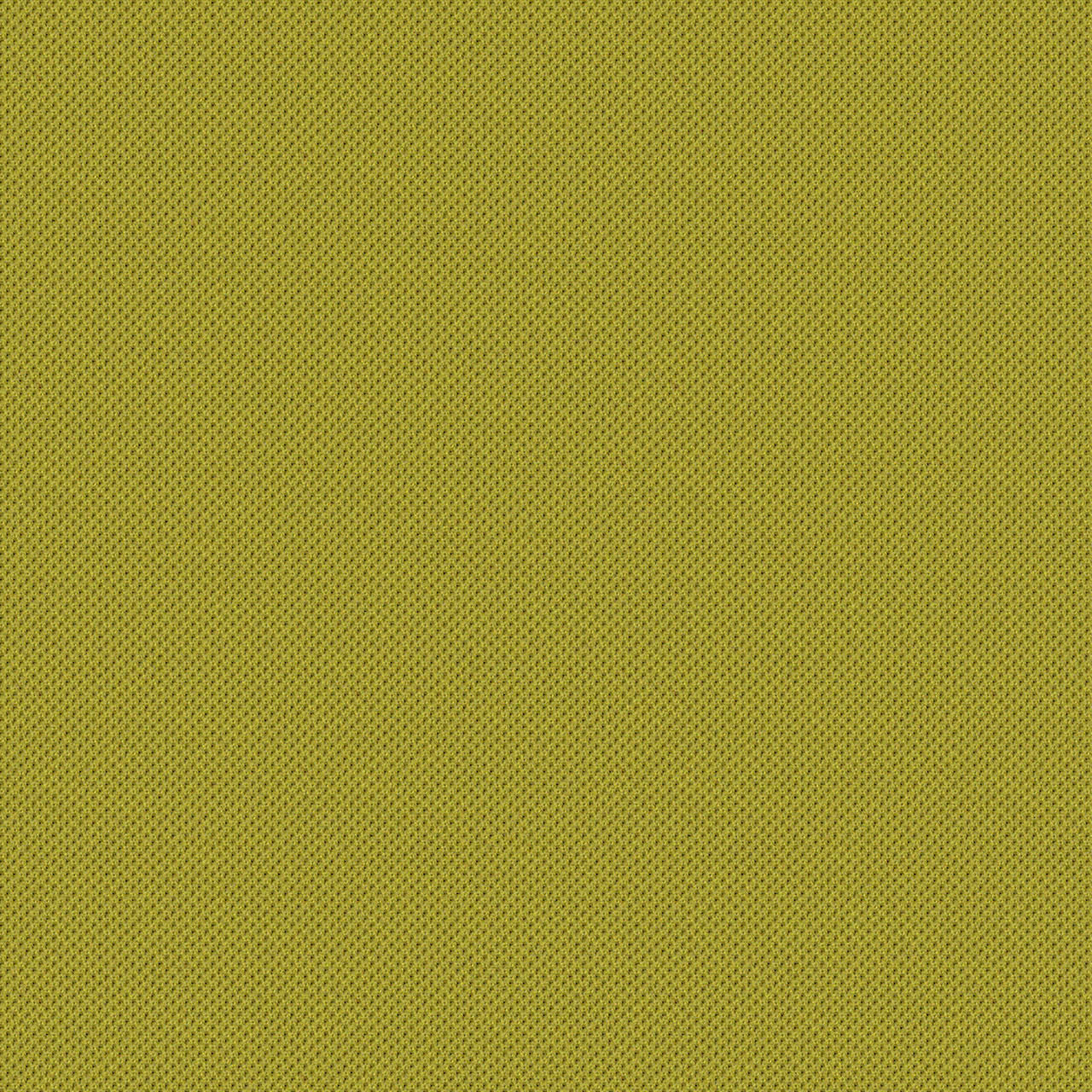 Lemongrass