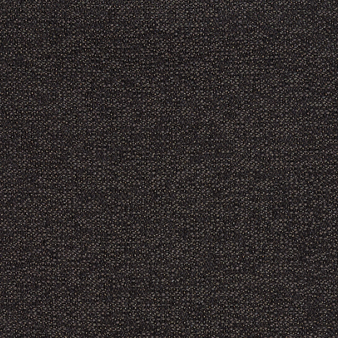 Carbon Dark