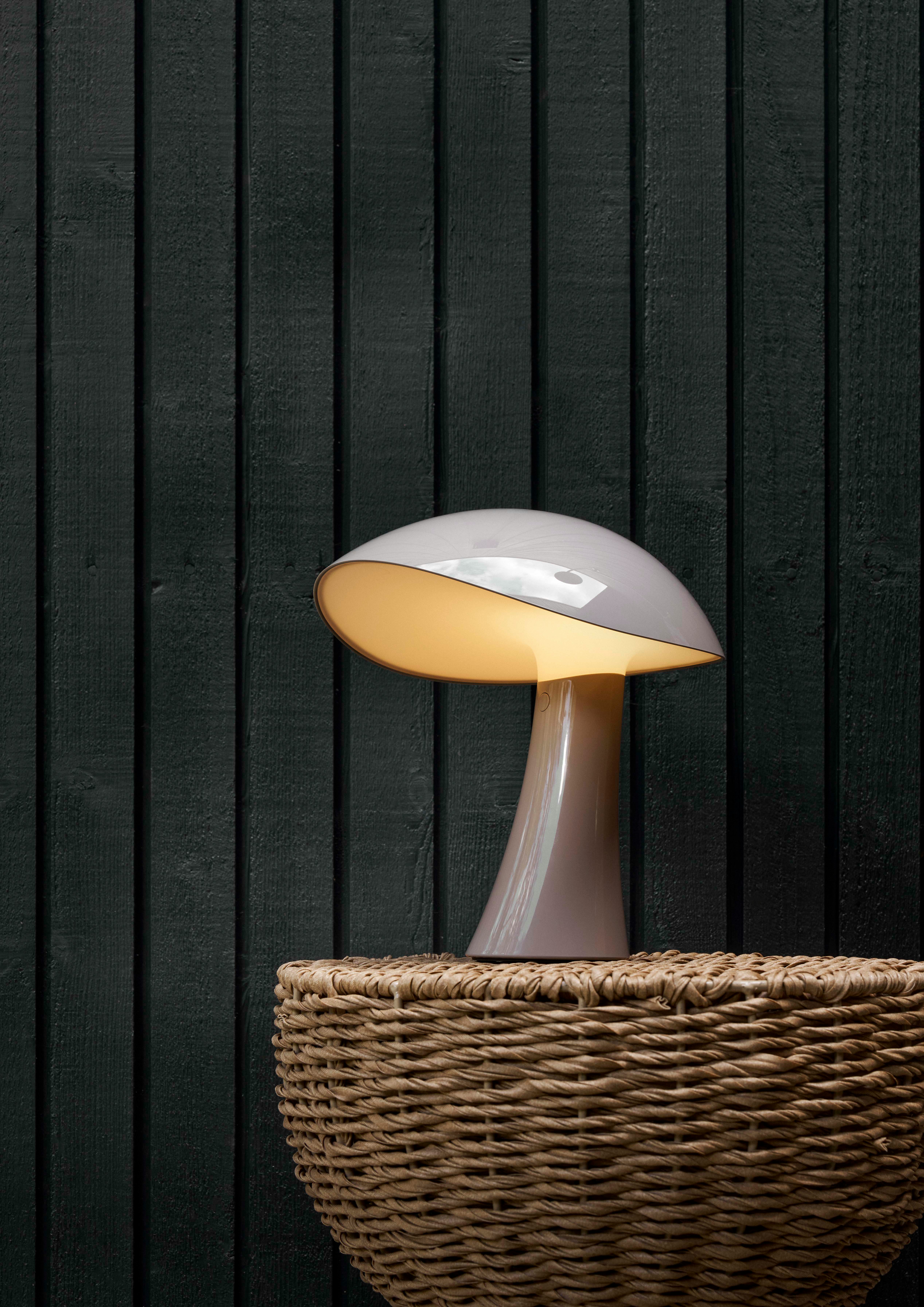 Rumee 220 Portable Lamp