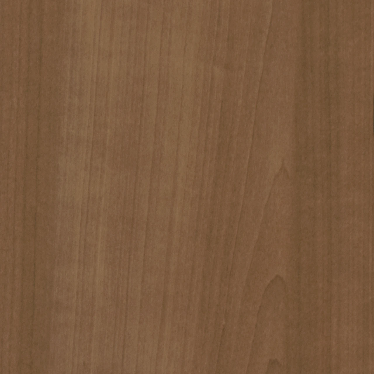 Light Teak