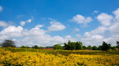 A field of blooming black-eyed Susans are seen in front of the MillerKnoll GreenHouse facility.