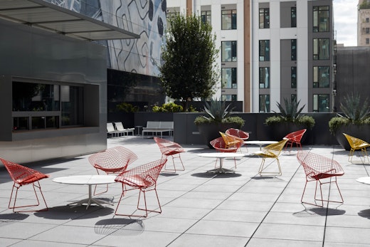 Bertoia Diamond Chair Richard Schultz Petal Coffee Table 1966 collection 1966 lounge chair outdoor community shared spaces