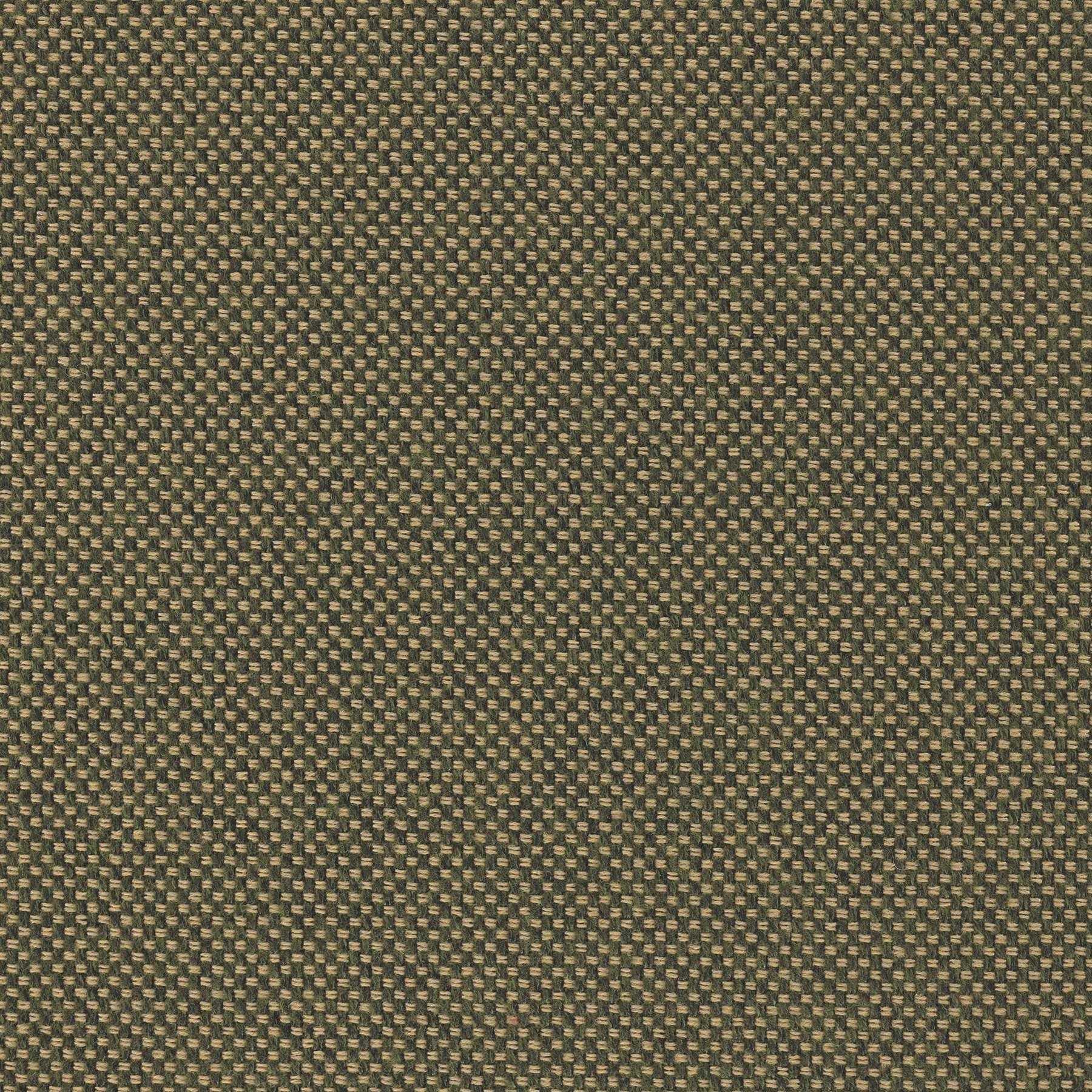 Parcel Golden Olive