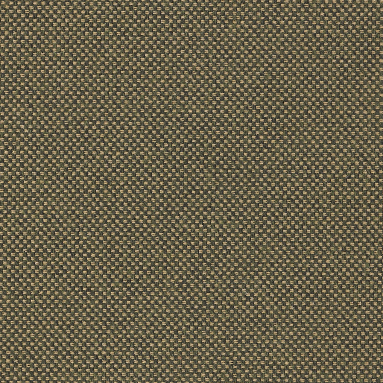 Golden Olive