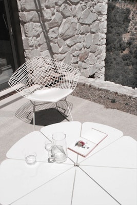 Knoll Petal Table and Bertoia Diamond Chair