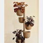 Story Planter