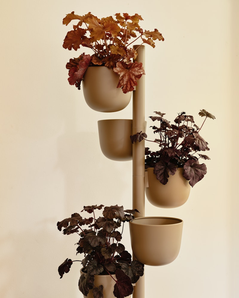 Story Planter