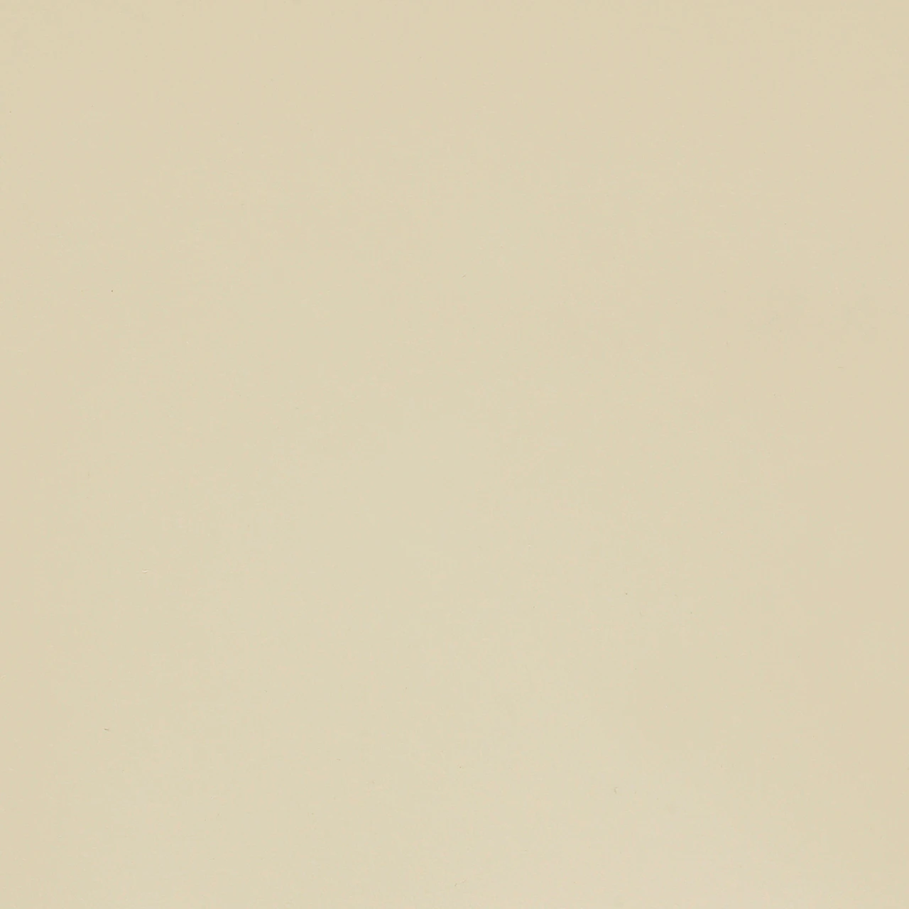 Bisque