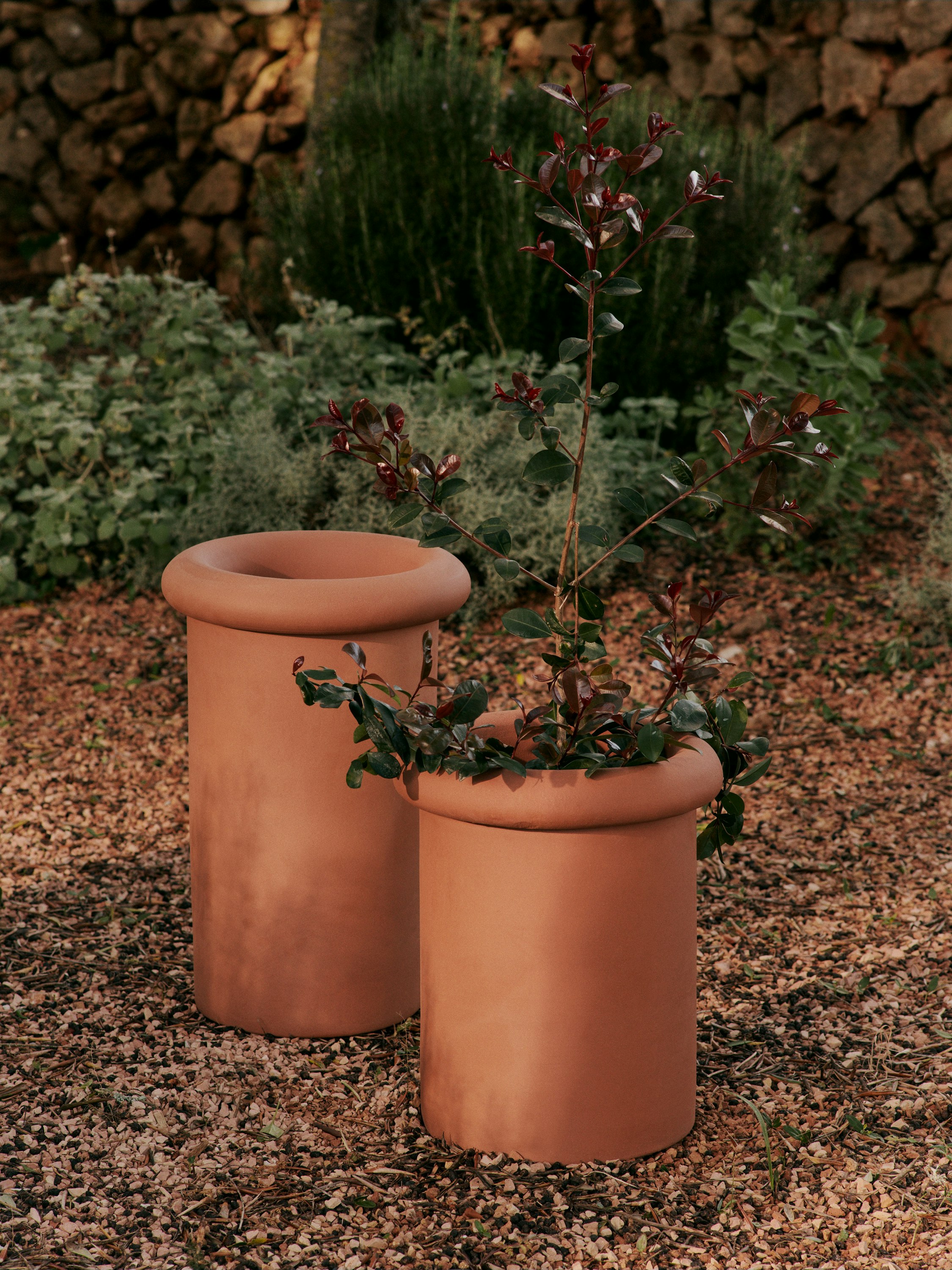 Rollo Pot