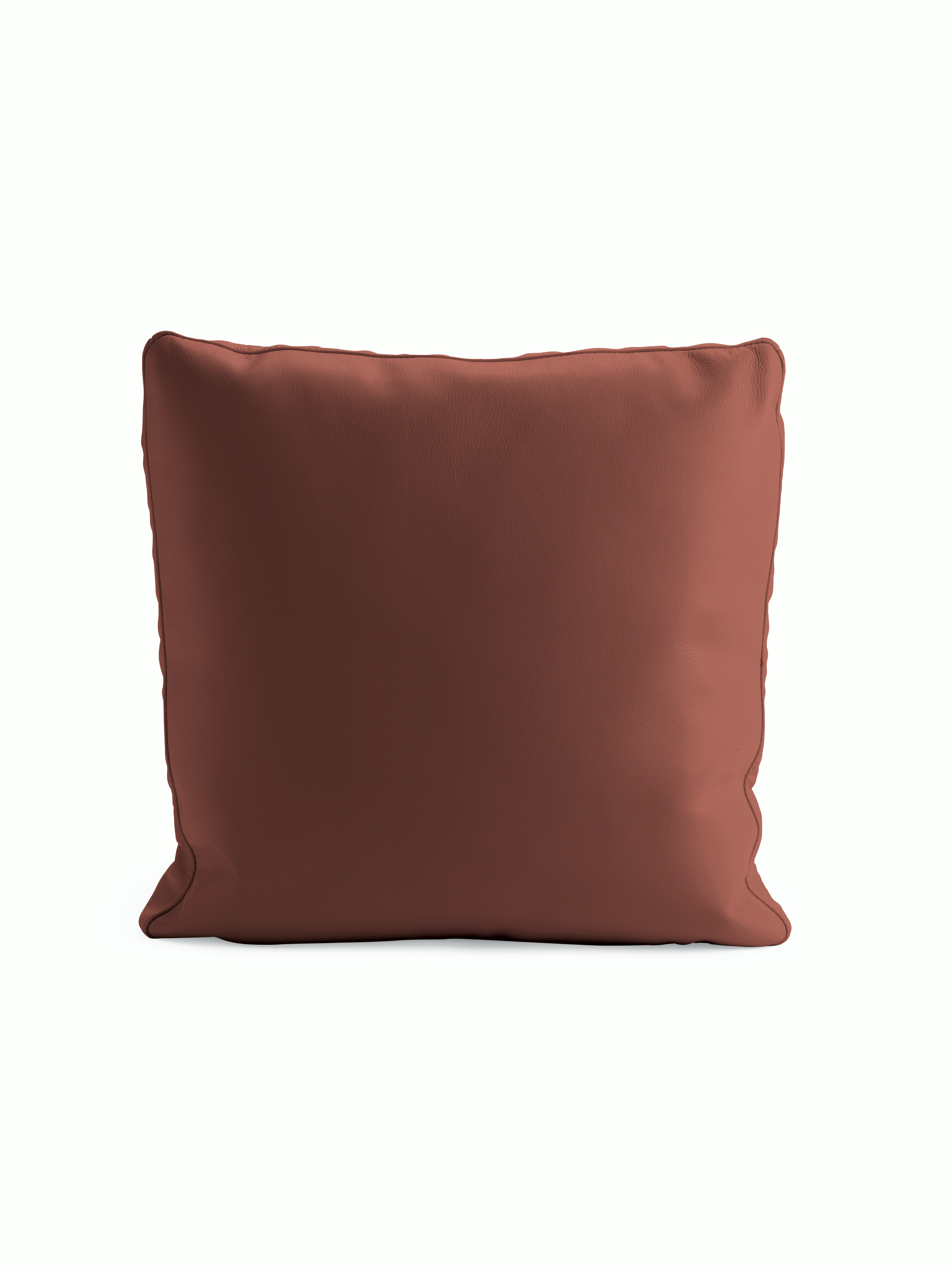 Reid Throw Pillow