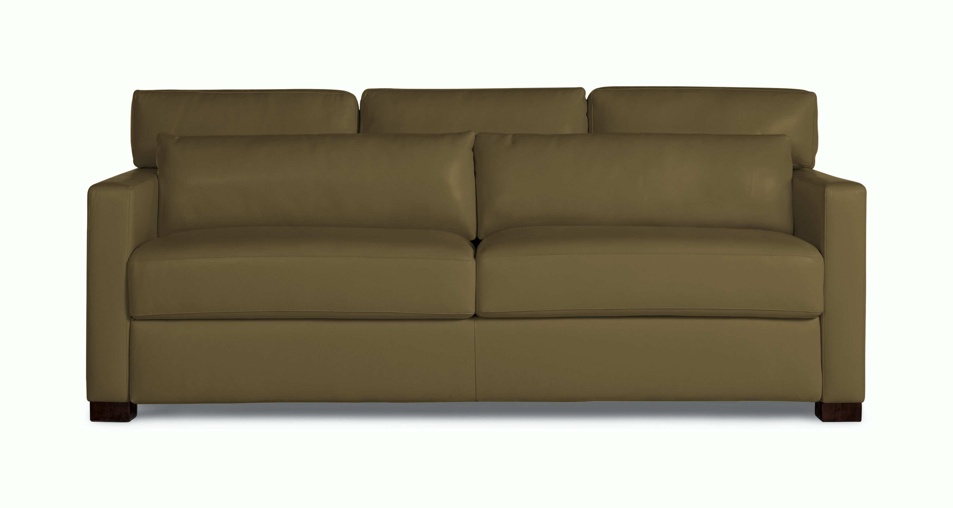 Vesper Sleeper Sofa, Leather