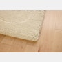 Radius Shag Rug