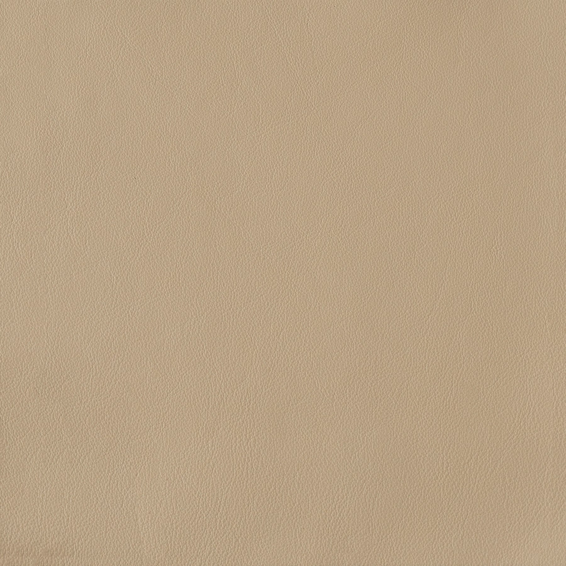 Bristol Leather Champagne