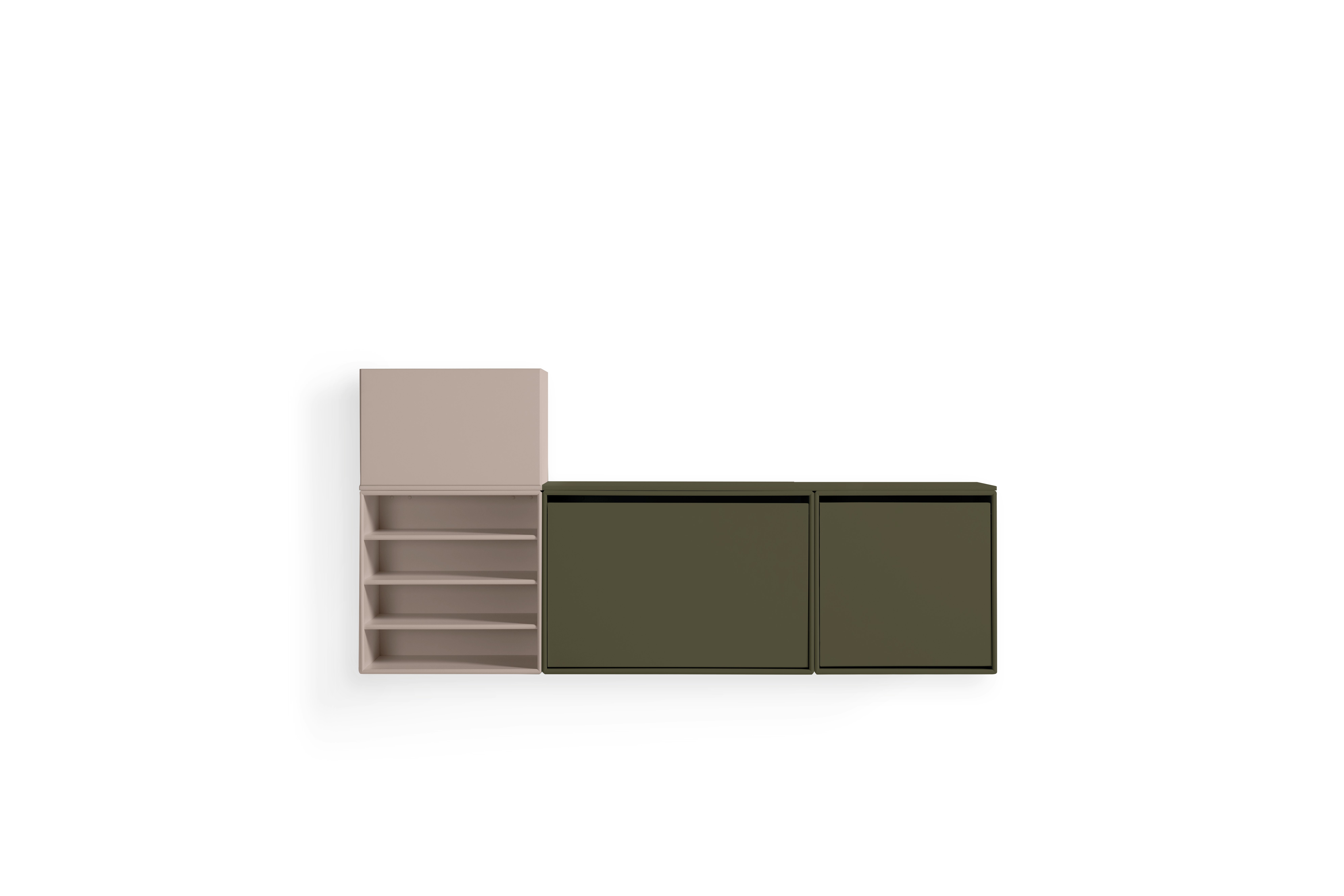 Entry Console,  mushroom,  oregao