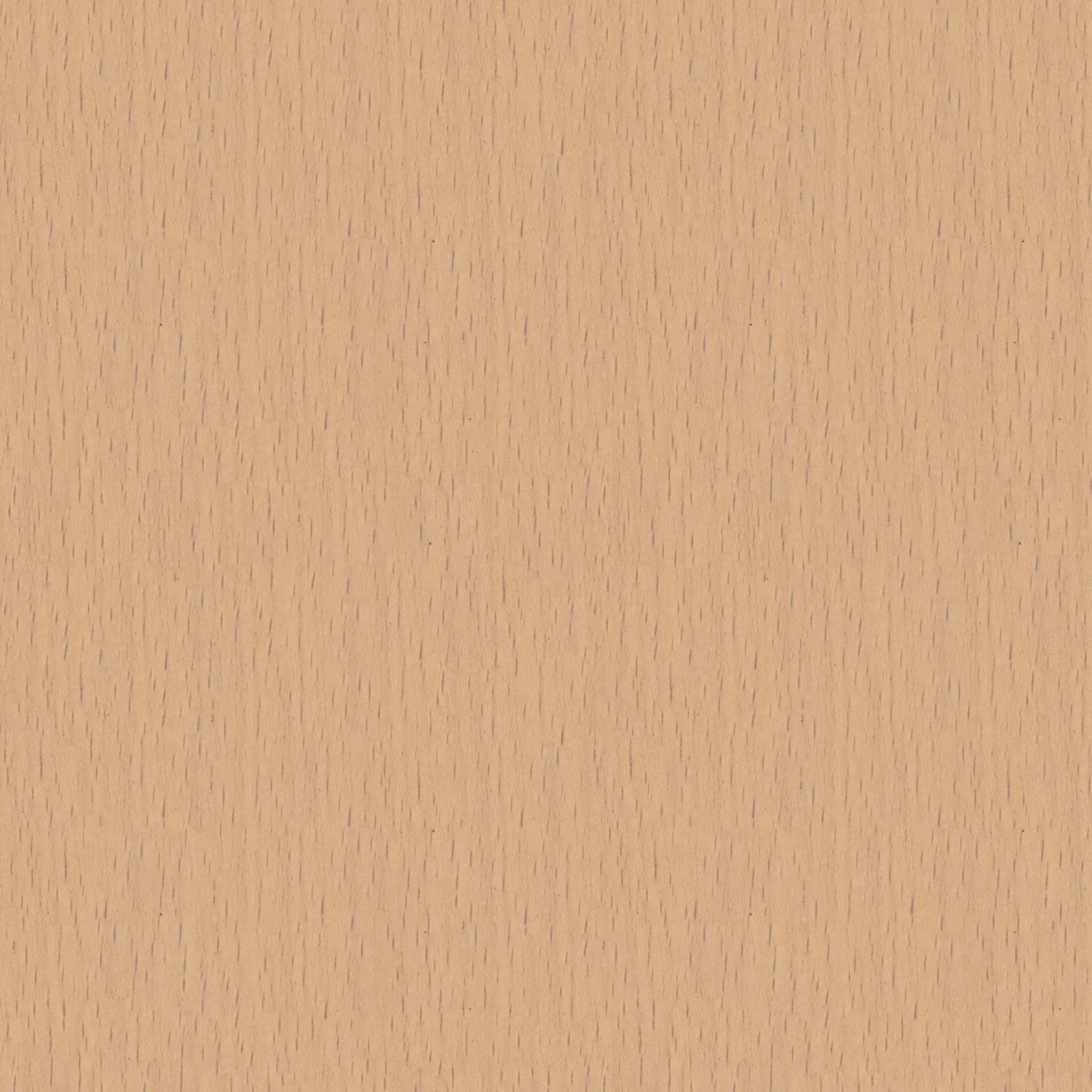 Light Beech Matte