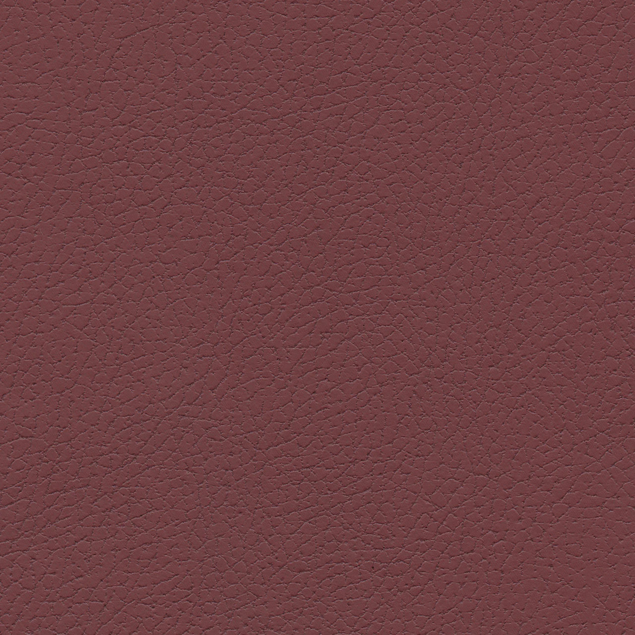 Beet Root