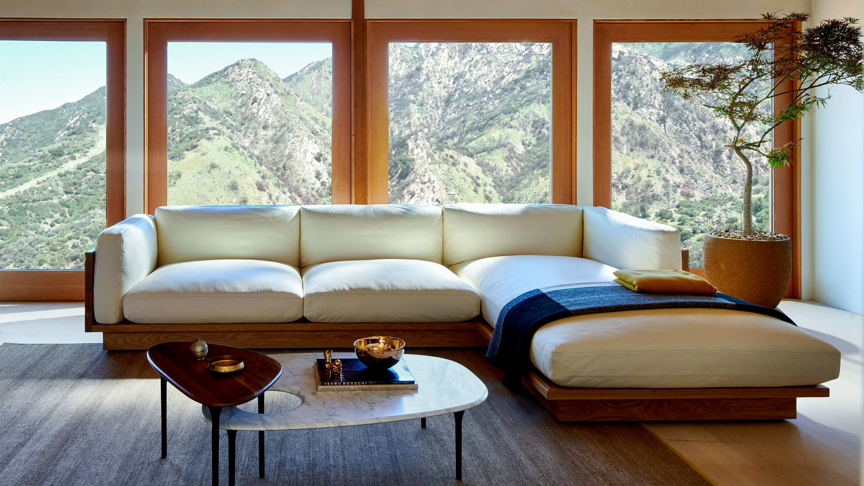 Discover what's new