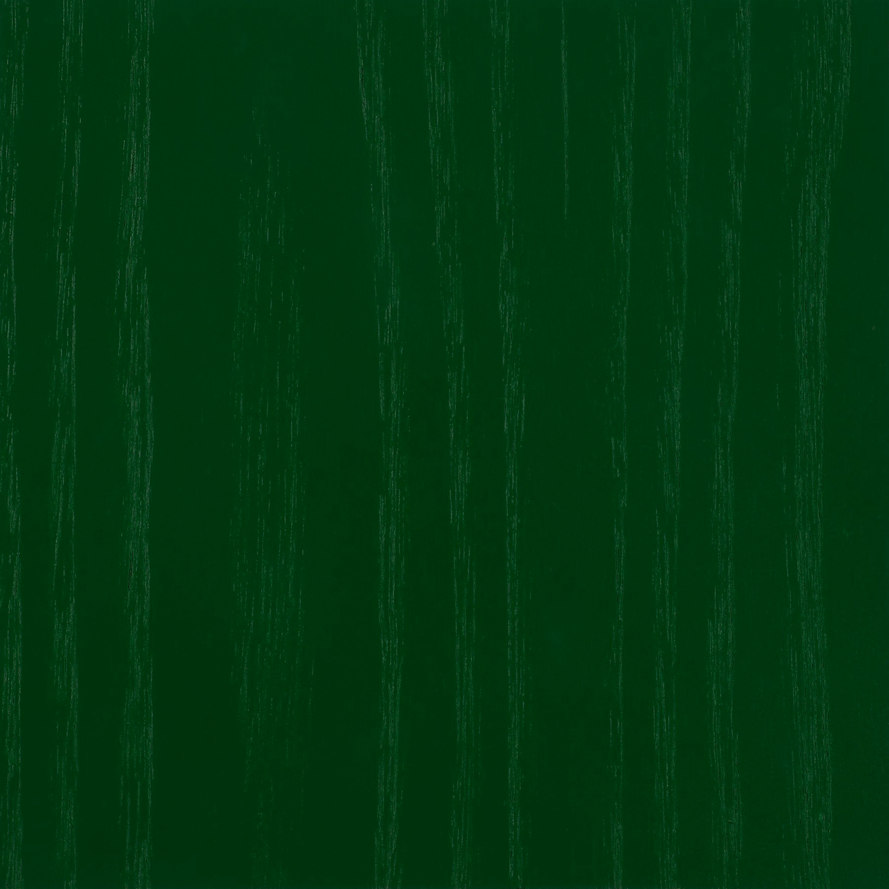 Forest Stain - HM x HAY, FRN