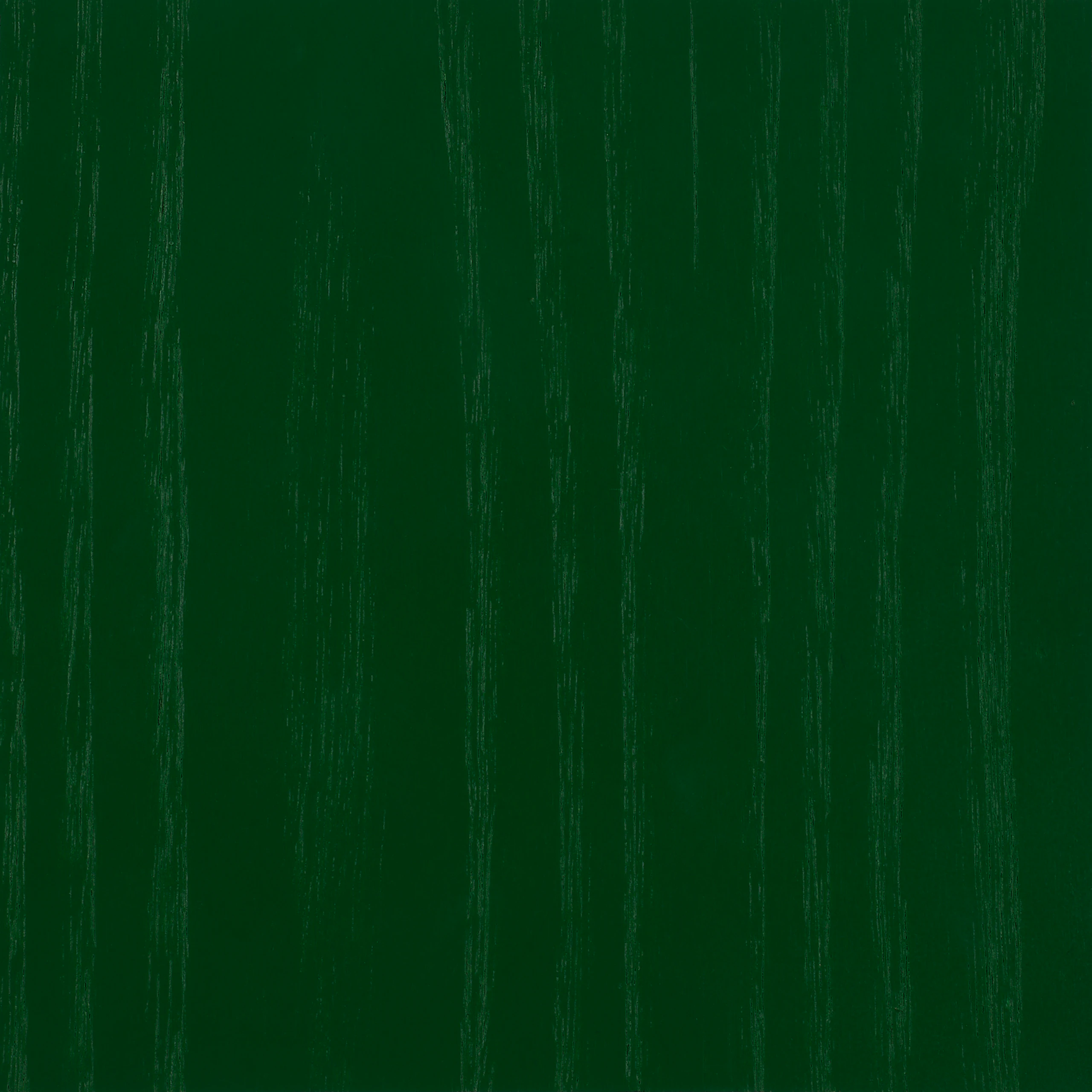 Forest Stain - HM x HAY
