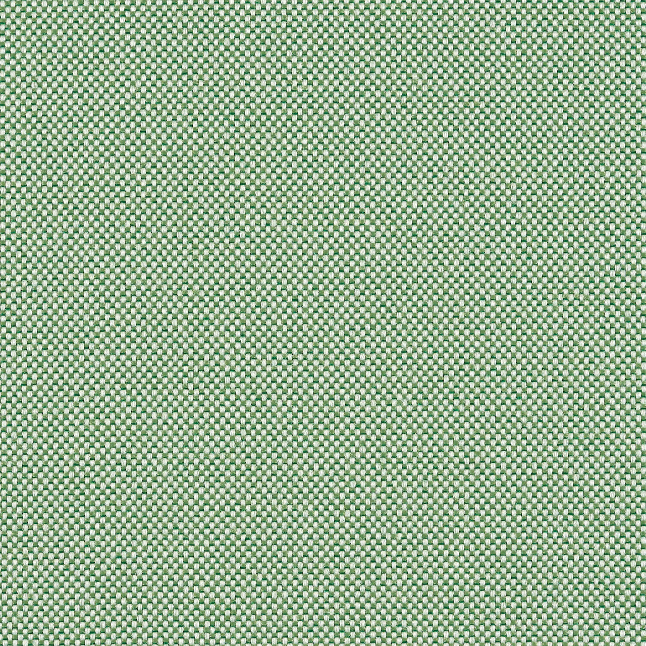 Clover