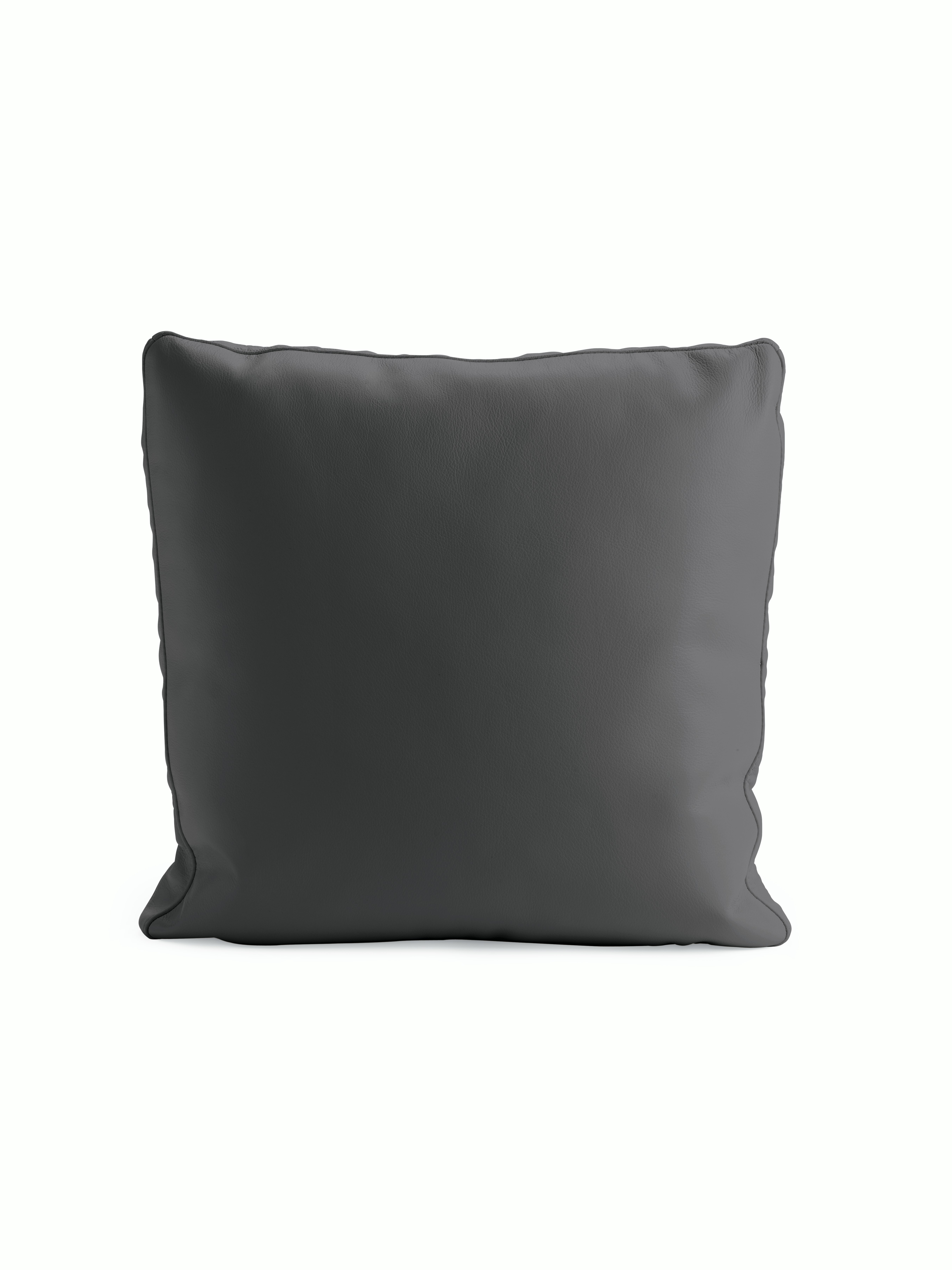 Reid Throw Pillow