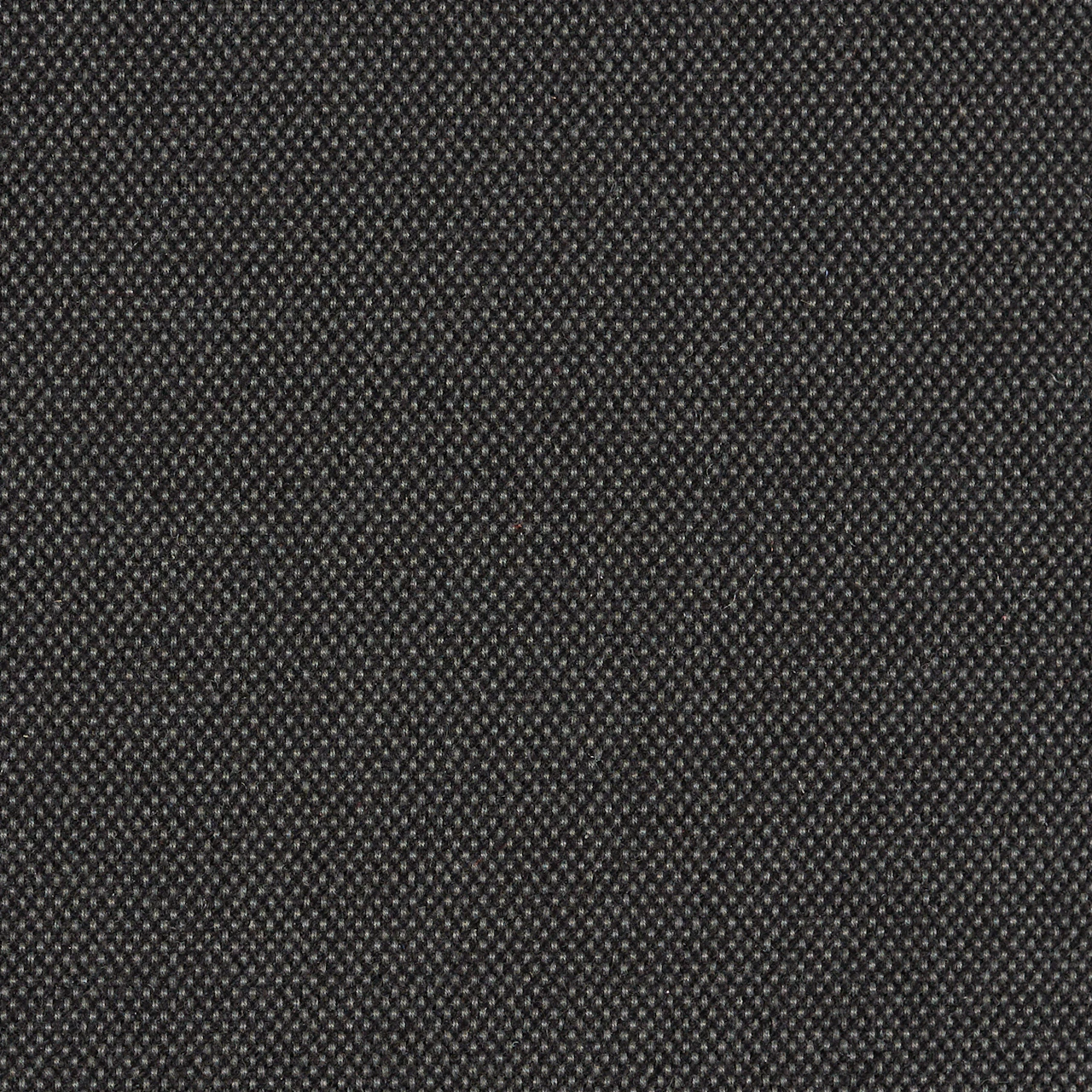 Coal
