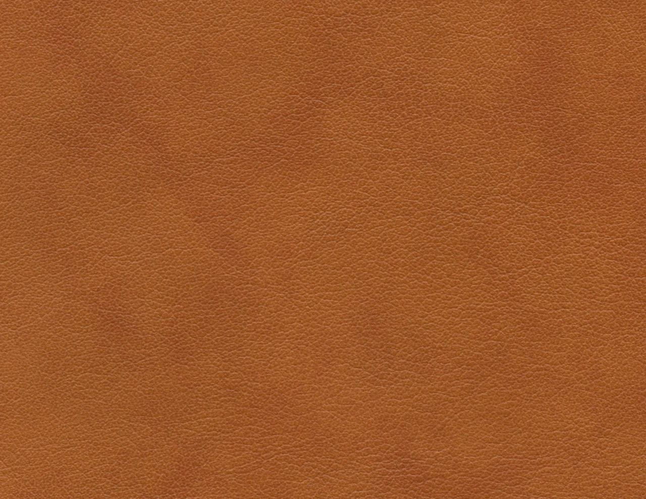 Palladio