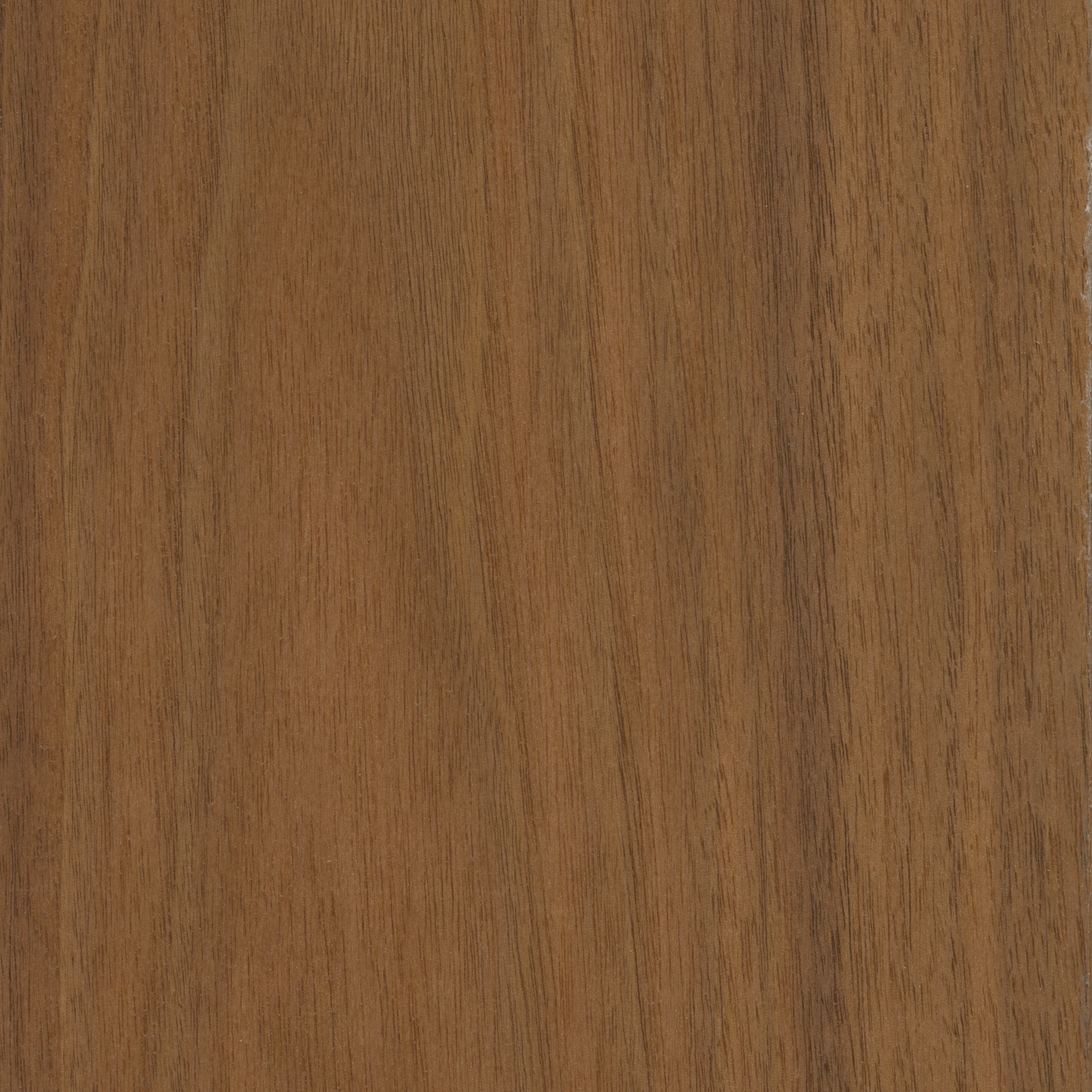 The Oxford Walnut finish from the MillerKnoll central palette