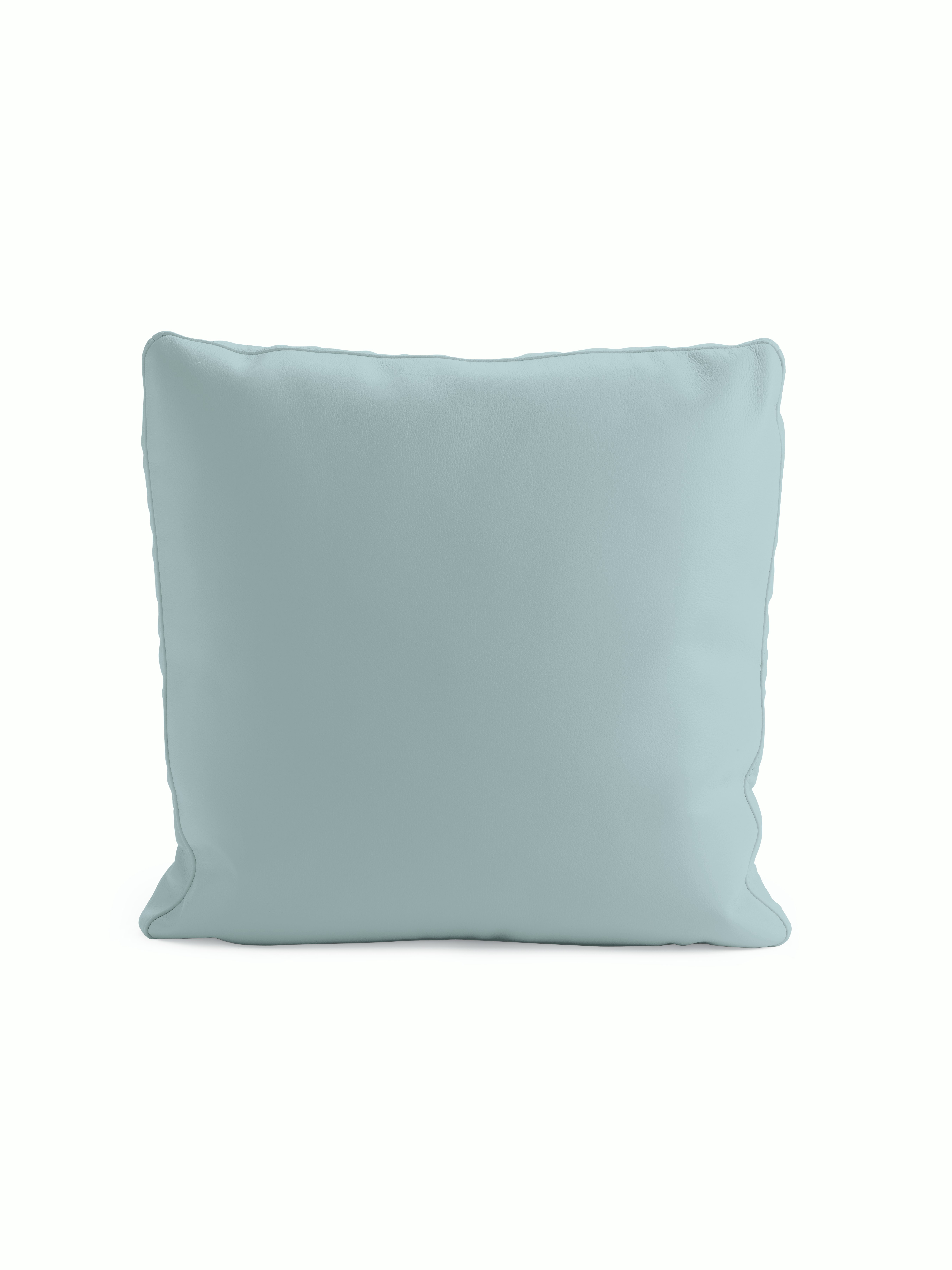 Reid Throw Pillow