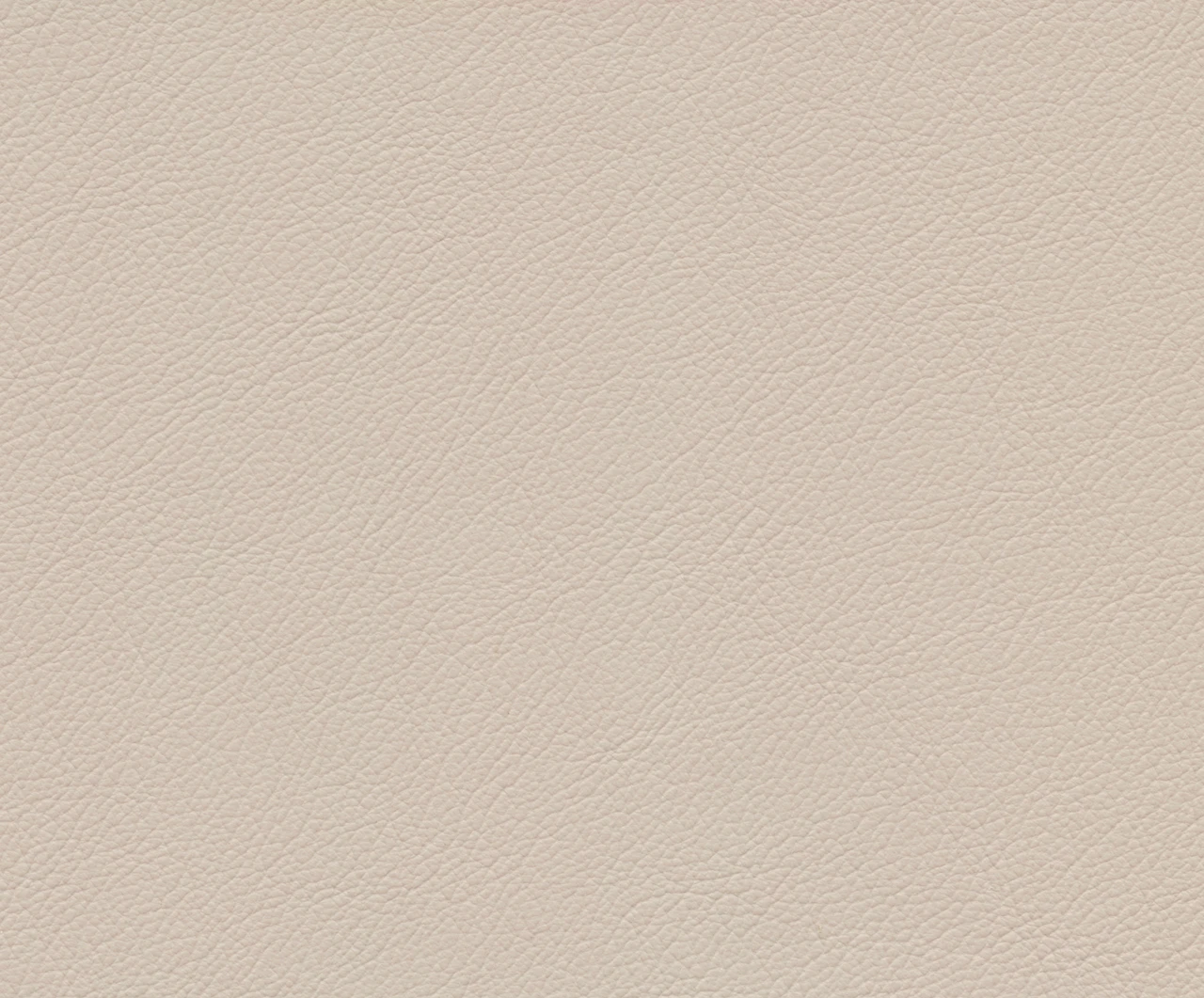 Delta Wing