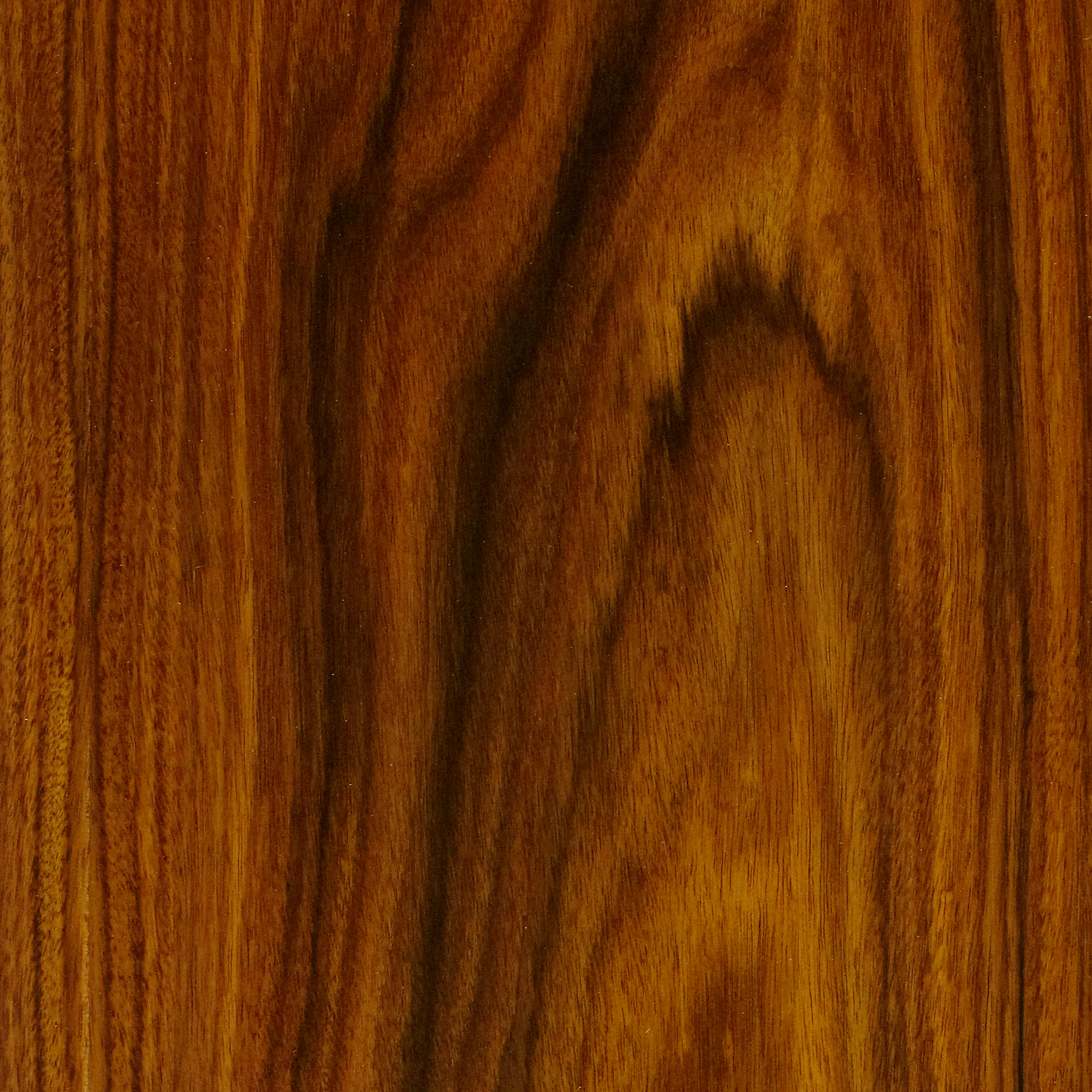 Santos Palisander