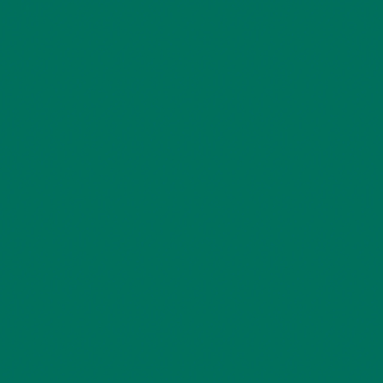 Mint Green - HM x HAY
