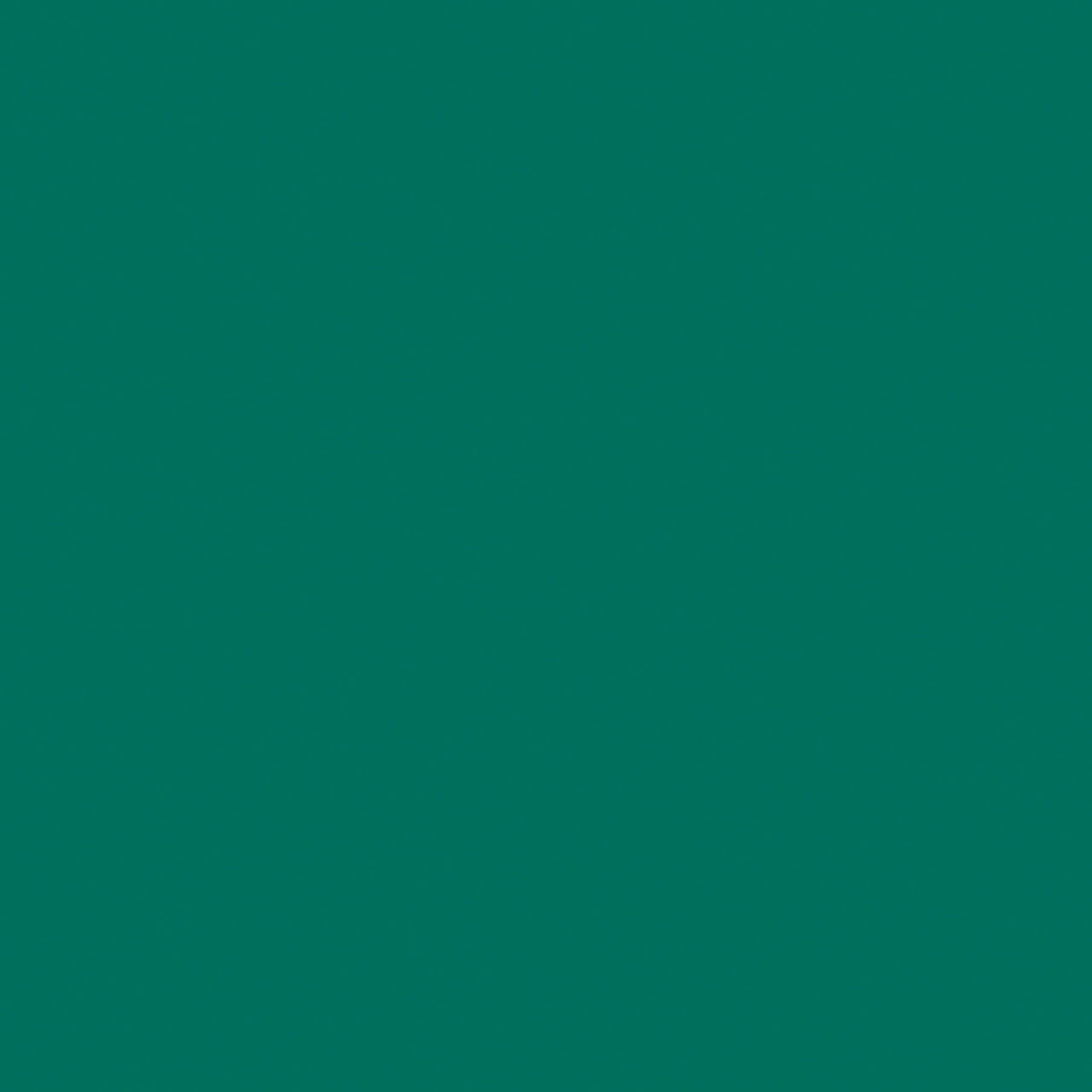 Mint Green - HM x HAY