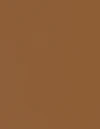 Warm Beige