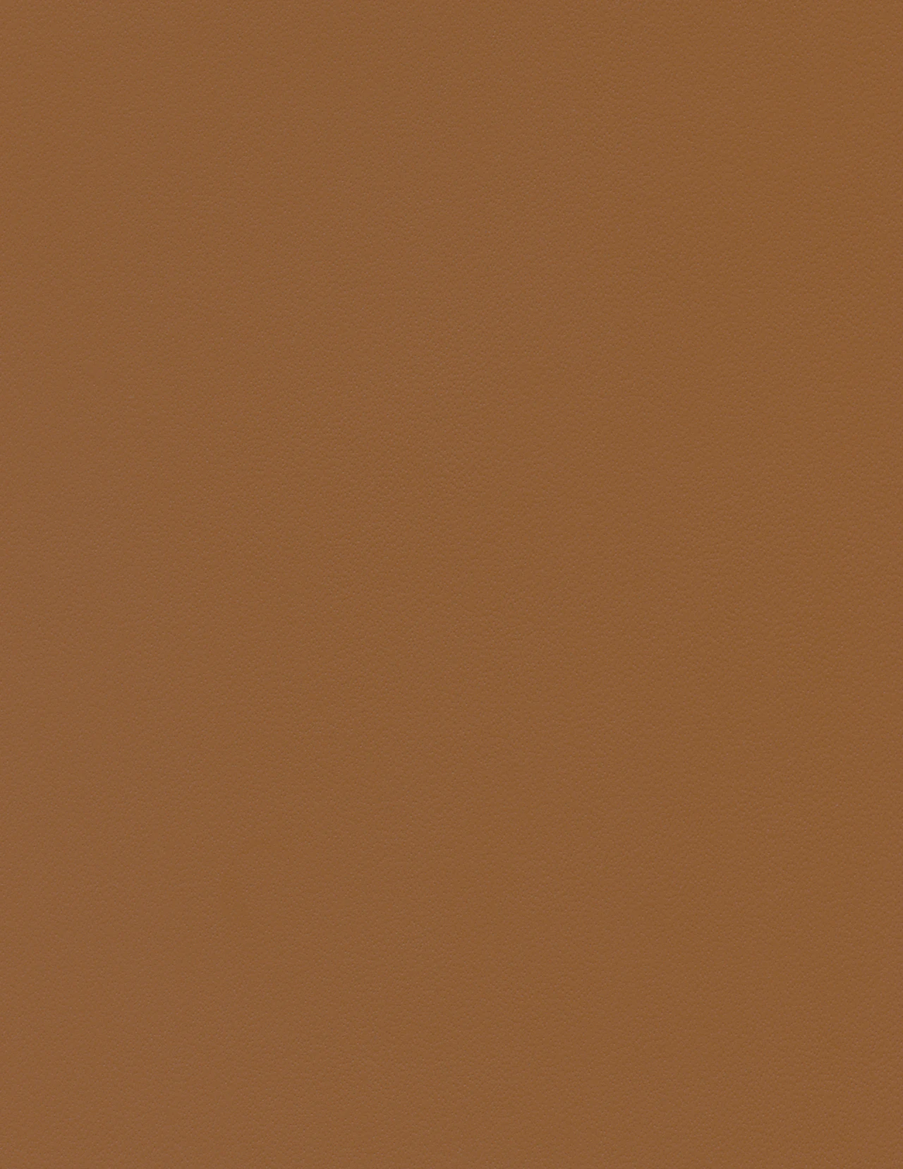 Warm Beige