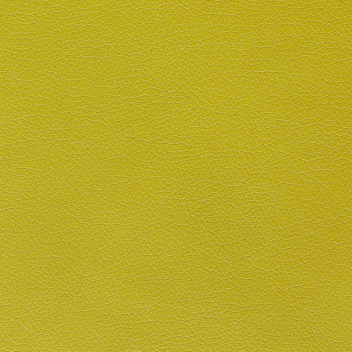 Canter Epu Kiwi Green