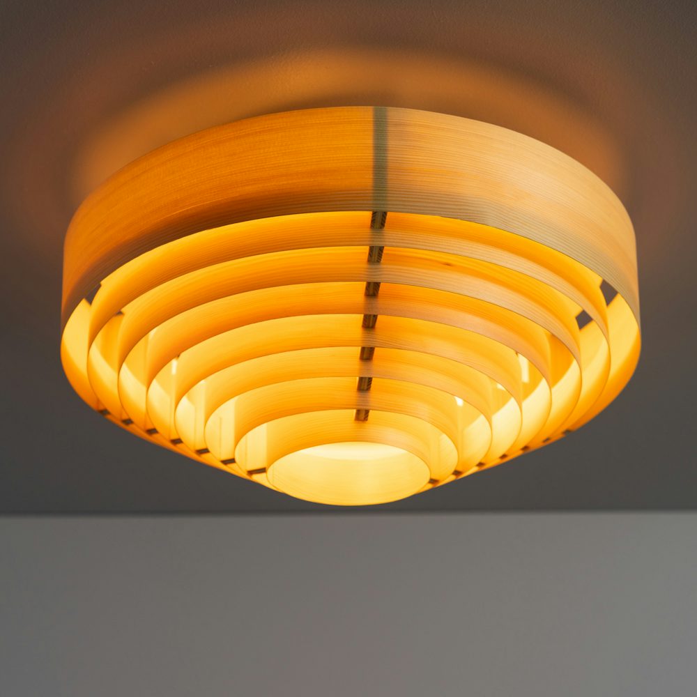 1005 Hans Ceiling Light