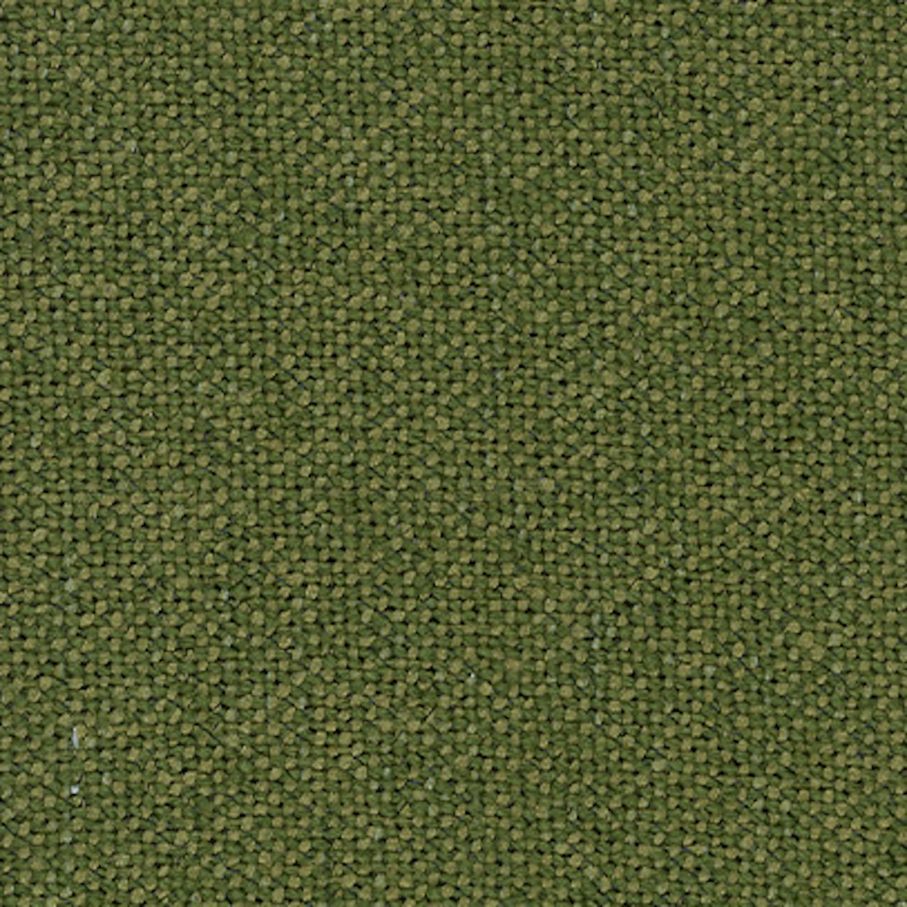 Moss