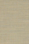 224